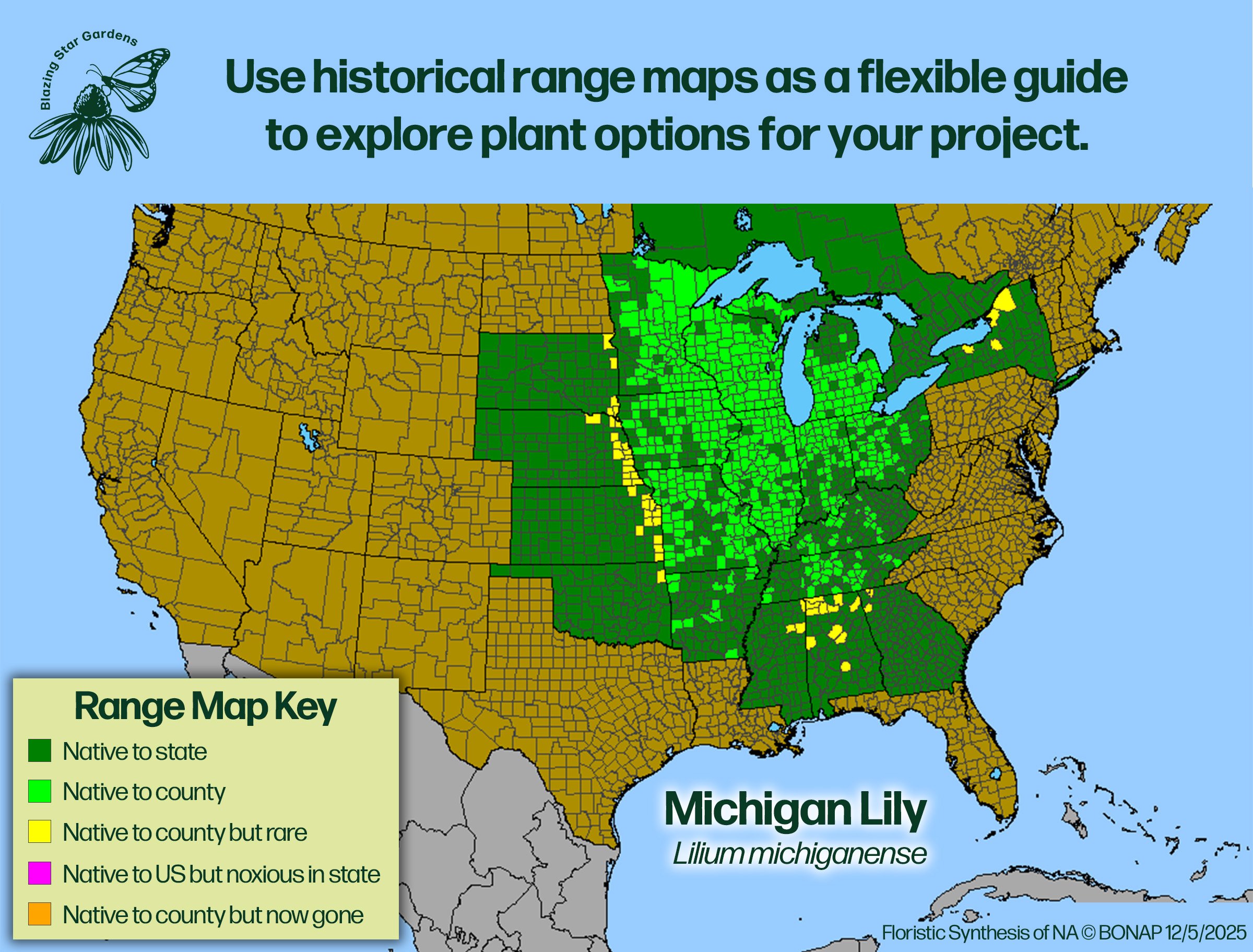 Native-range-map-for-Michigan-Lily-Lilium-michiganense-Native-plant-wild-flower-nursery.jpg (Copy)