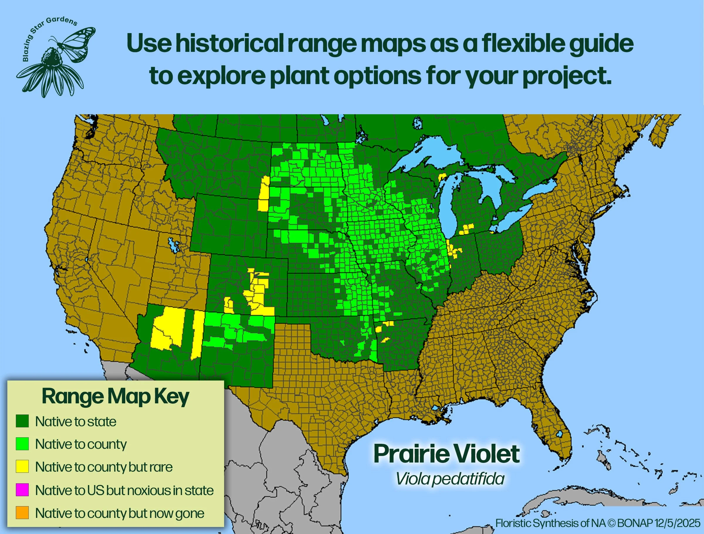 Native-range-map-for-Prairie-Violet-Viola-pedatifida-Native-plant-wild-flower-nursery.jpg