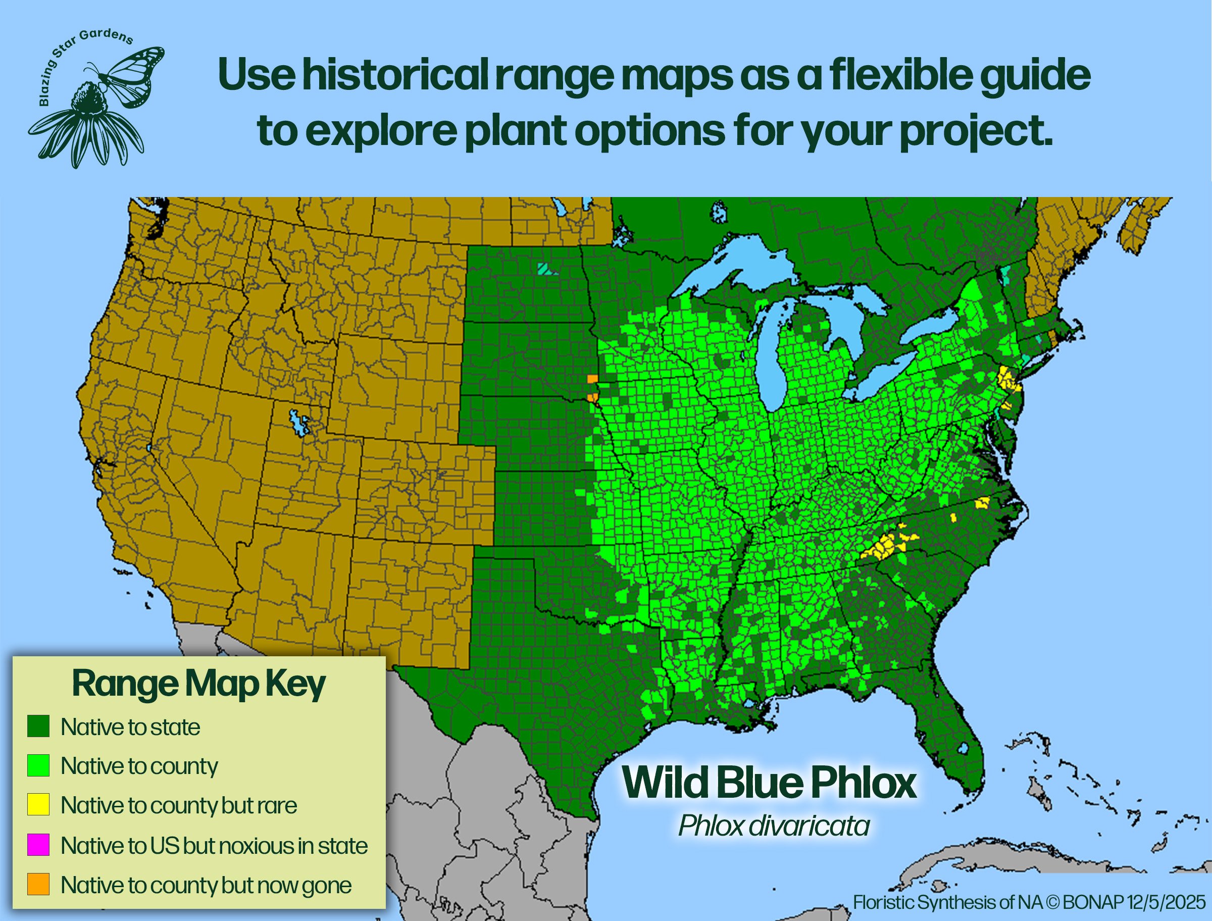 Native-range-map-for-Wild-Blue-Phlox-Phlox-divaricata-Native-plant-wild-flower-nursery.jpg