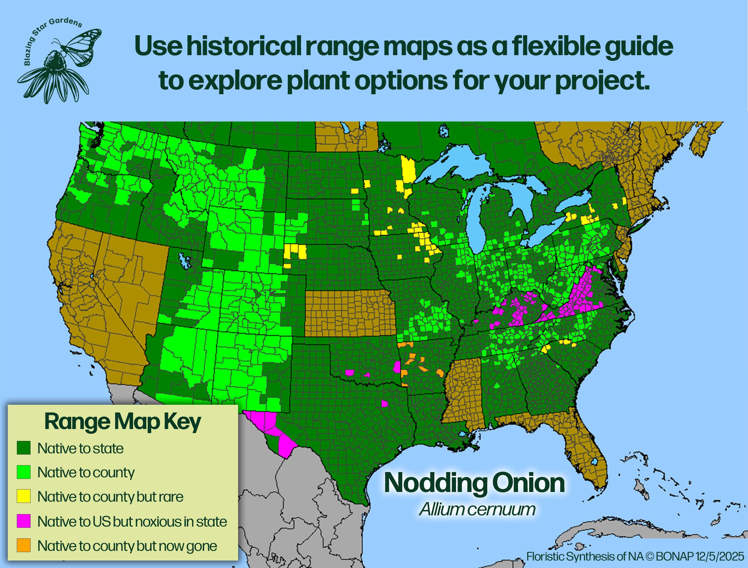 Native-range-map-for-Nodding-Onion-Allium-cernuum-Native-plant-wild-flower-nursery.jpg