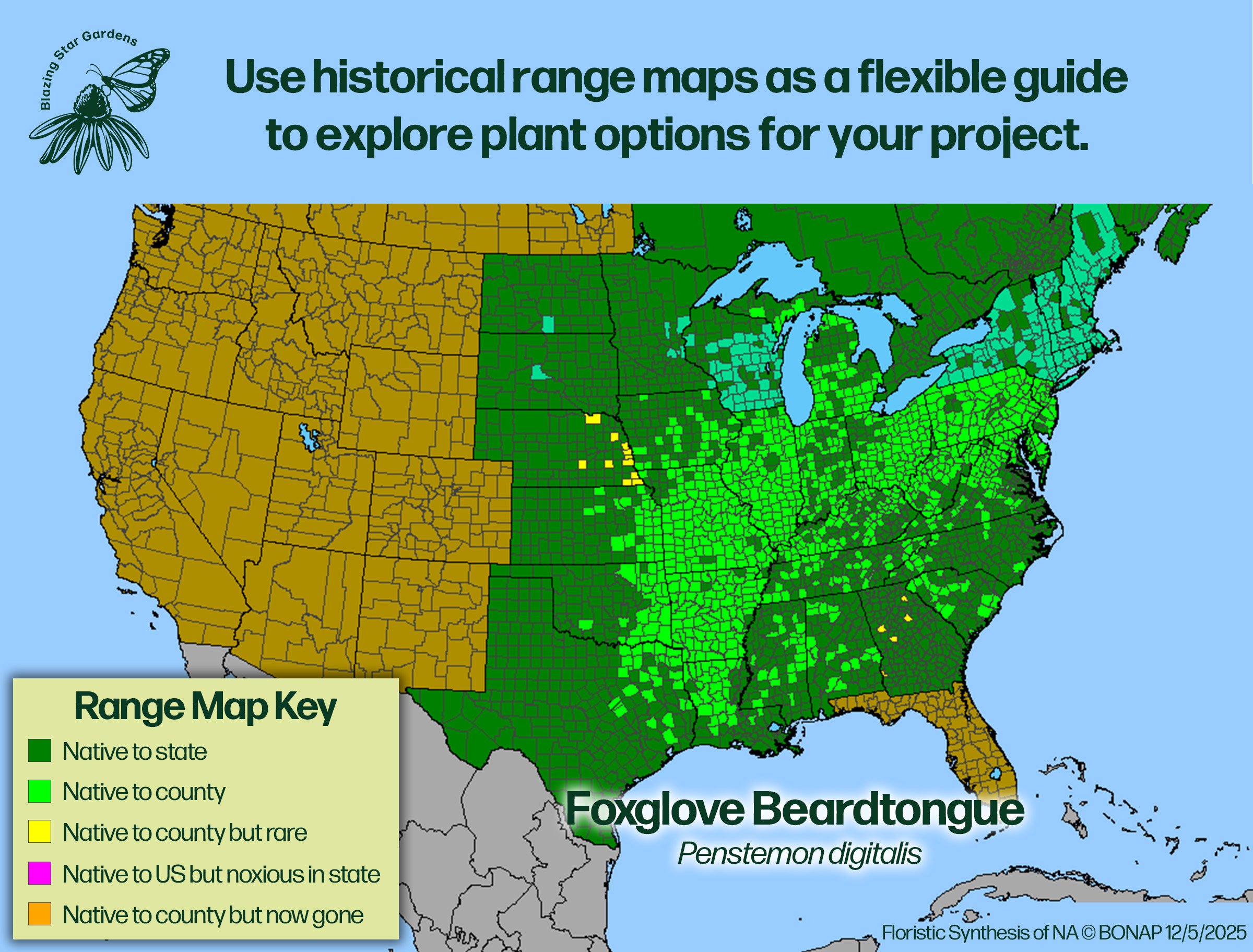 Native-range-map-Foxglove-Beardtongue-Penstemon-digitalis-Native-plant.jpg