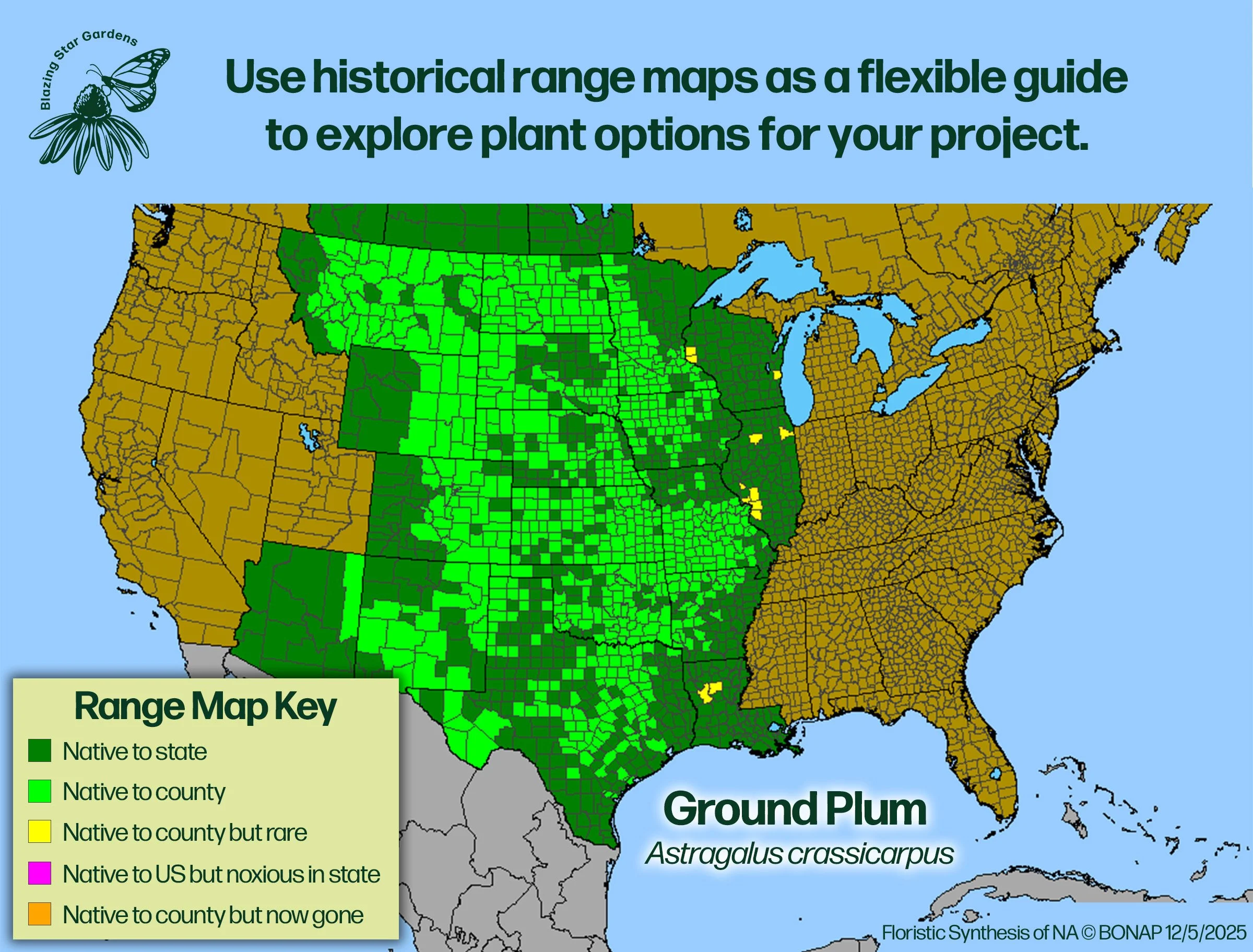 Native-range-map-for-Ground-Plum-Astragalus-crassicarpus-Native-plant-wild-flower-nursery.jpg