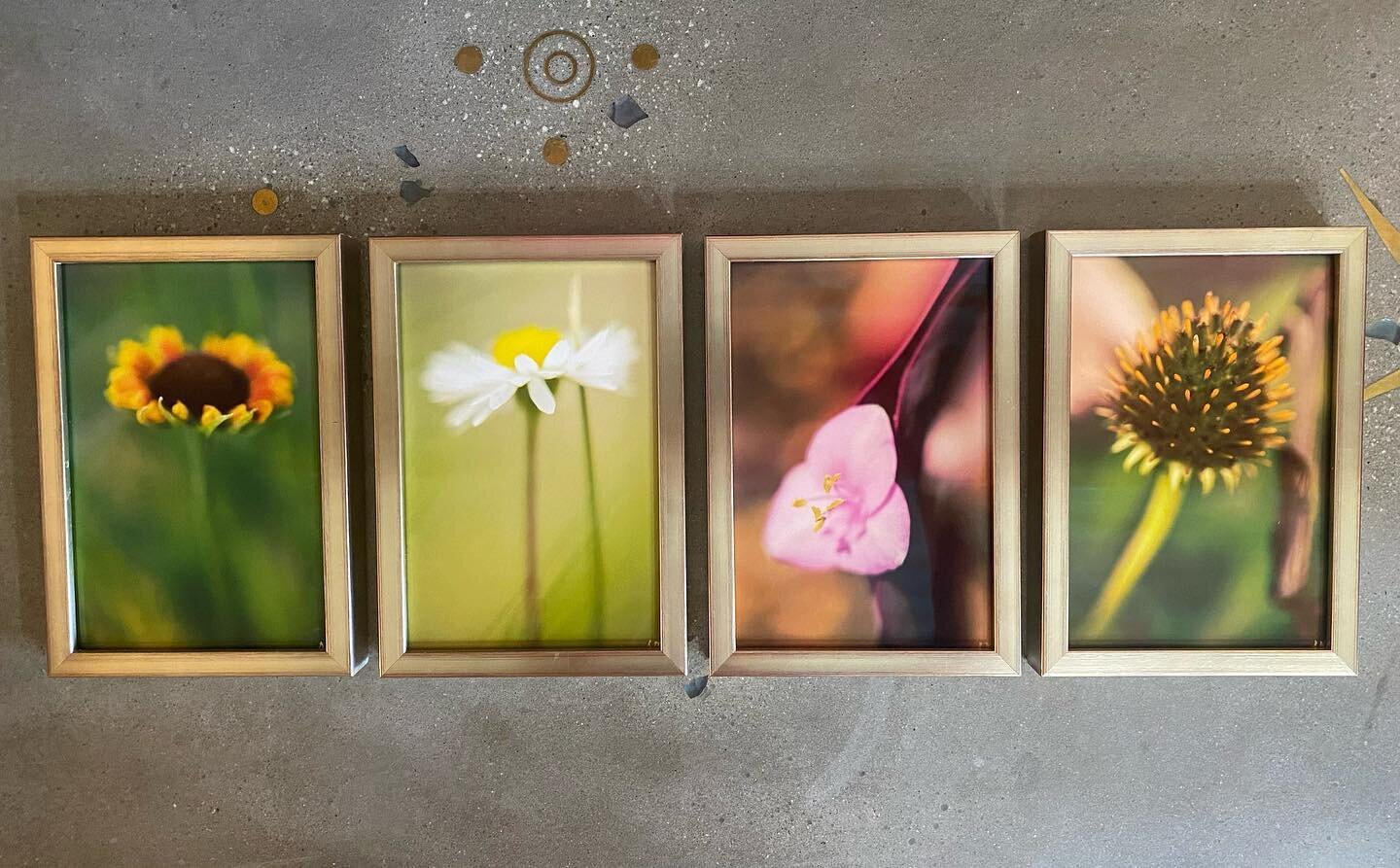 It&rsquo;s the little things in life&hellip;6x8 photographs by multi talented local Adam Northey #macrophotography #oldmandevilleshopping #flowerpower #wofavorites