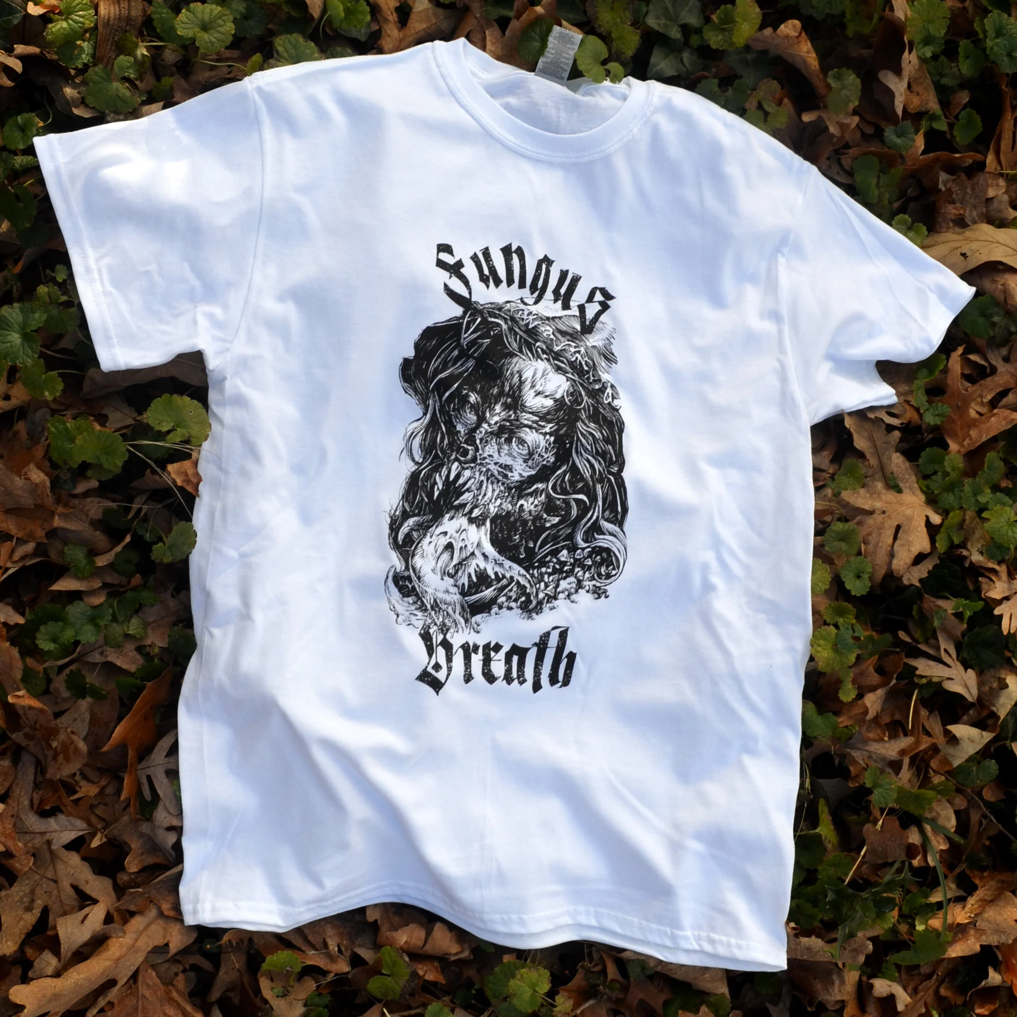 Seth Young Illustrator