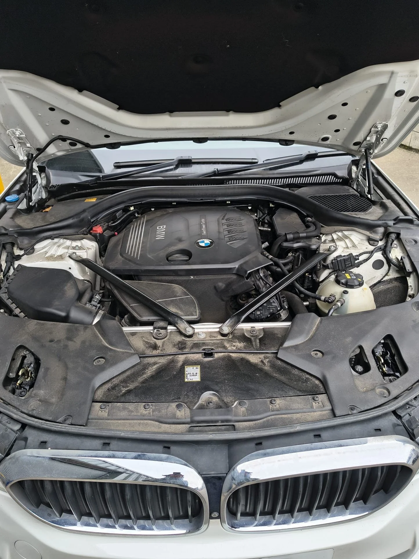BMW before cropped.jpg