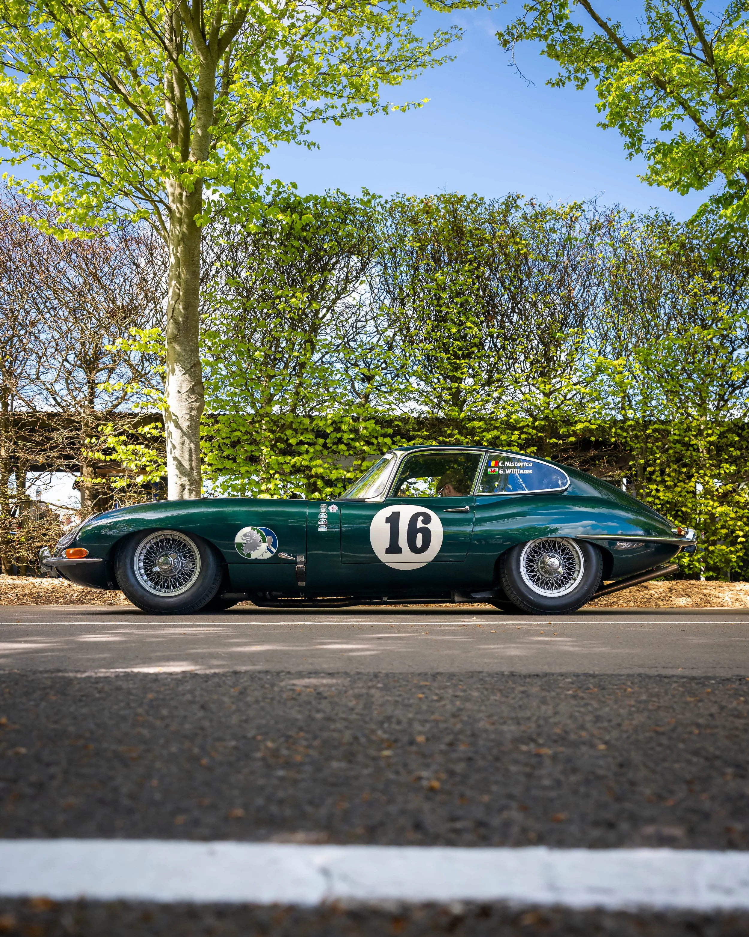 _DSC9113 (1).jpg