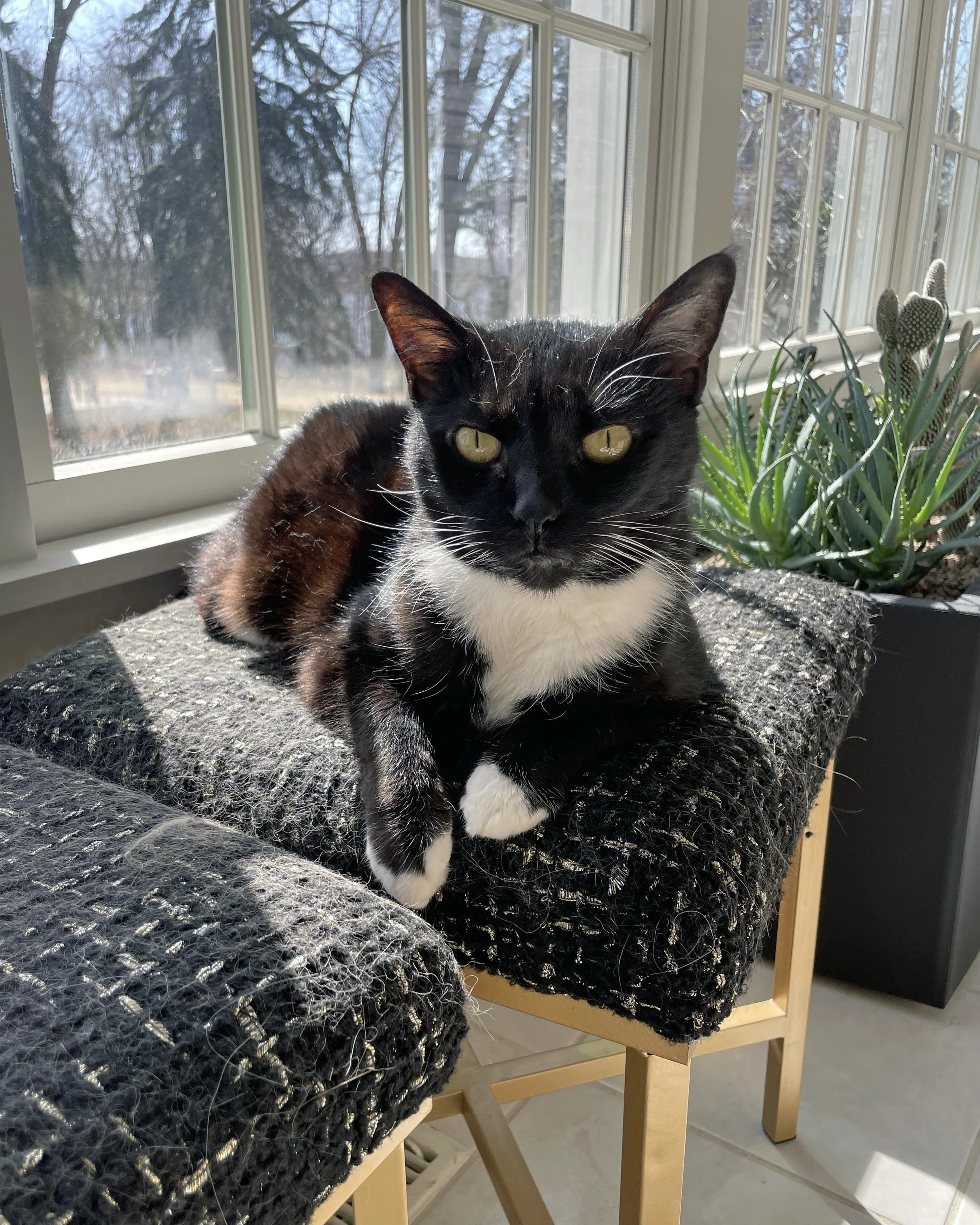 sunbathing