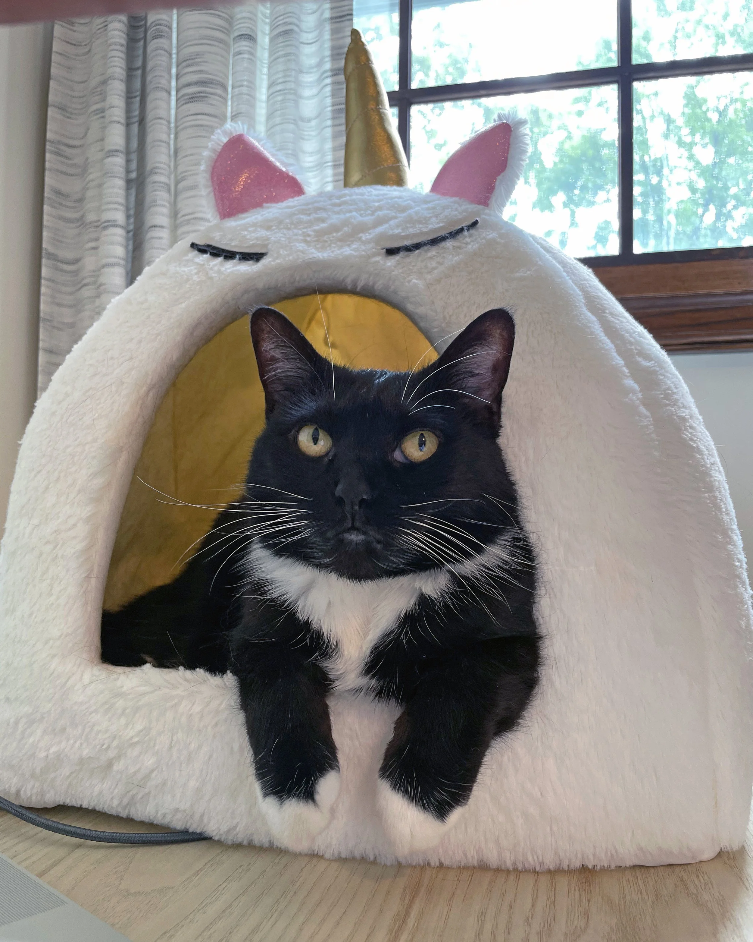 heated bed