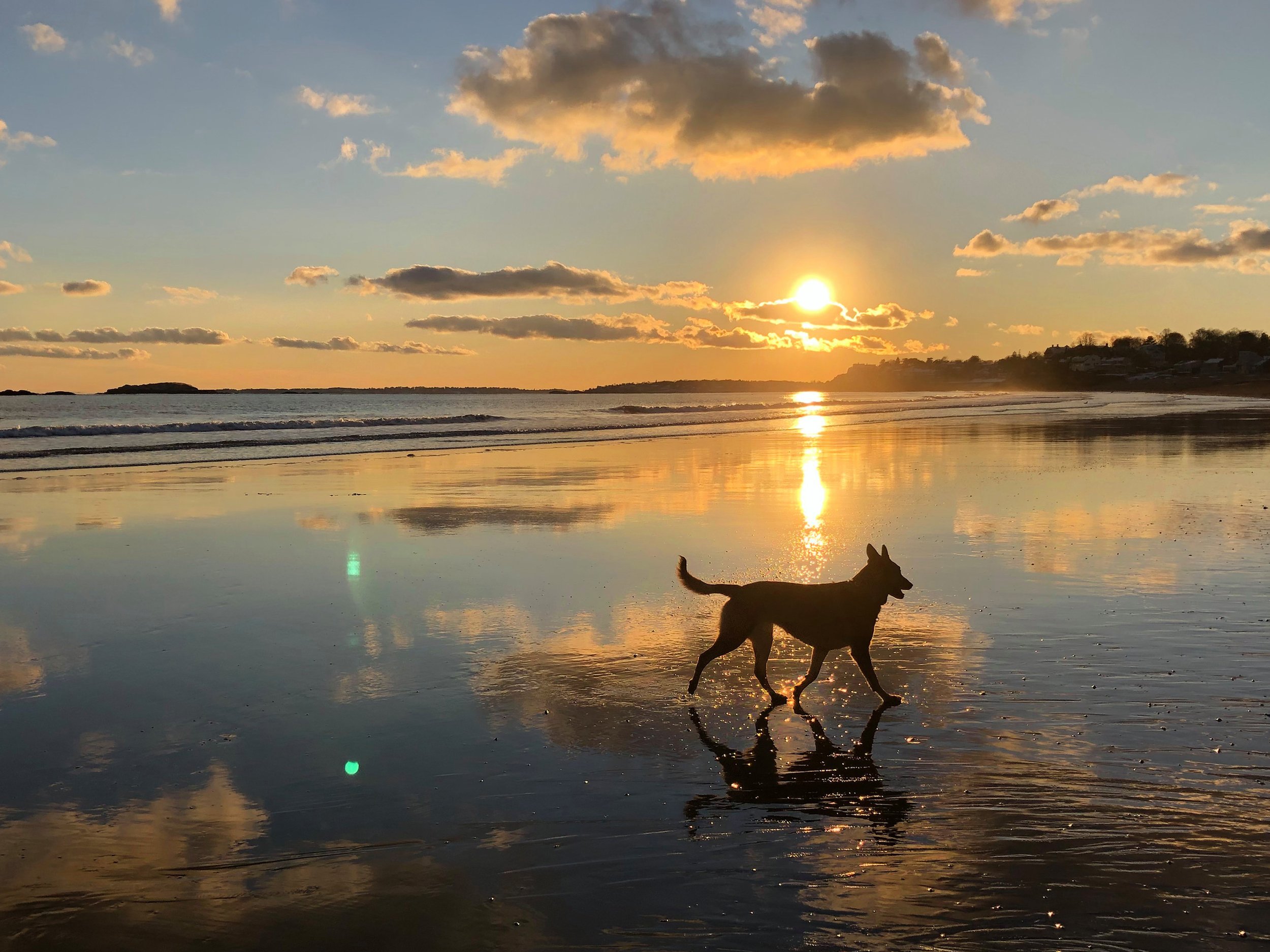 TaraBeach2Dec2019.jpg