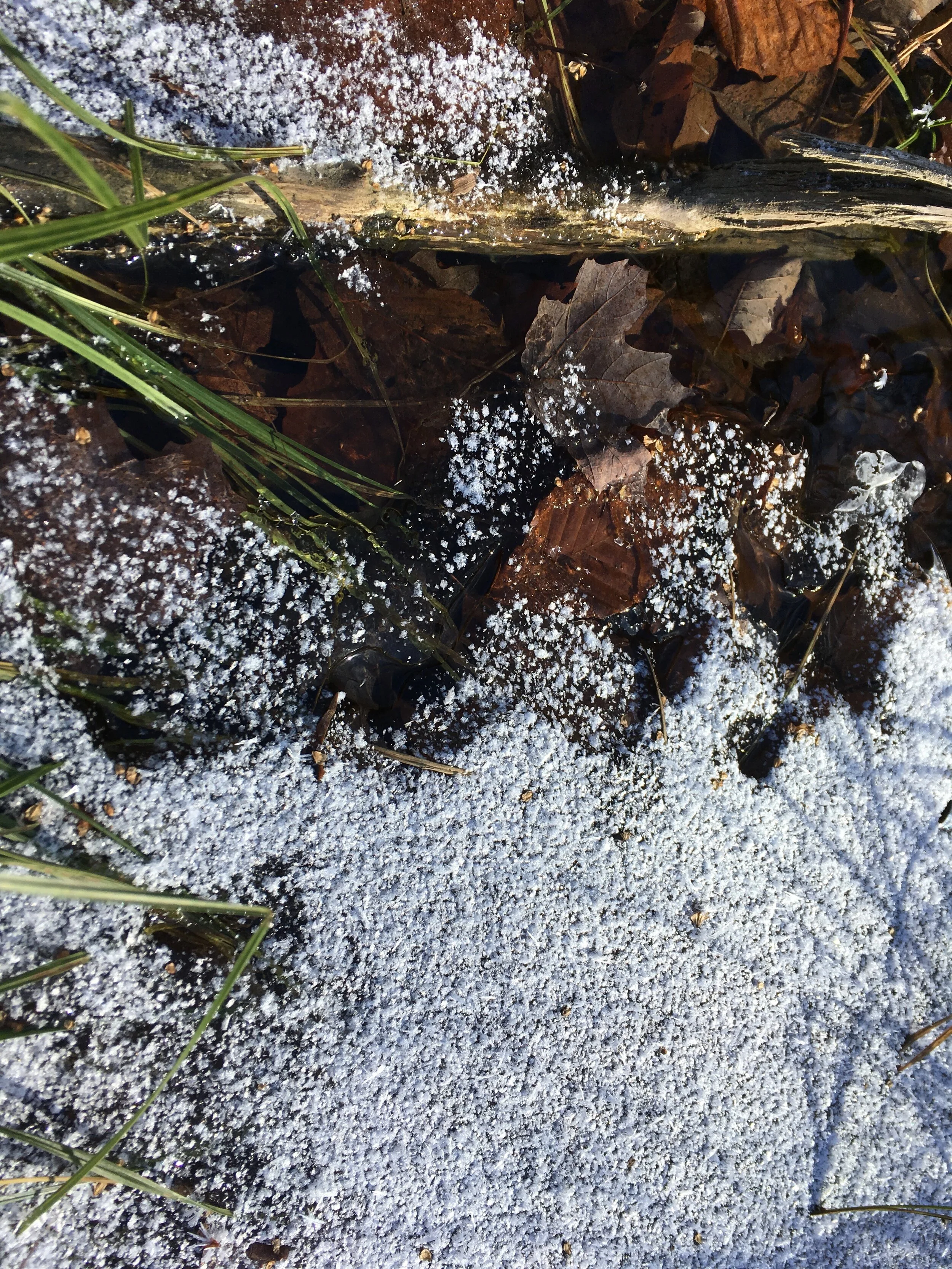 The Mystery in Sill Water 