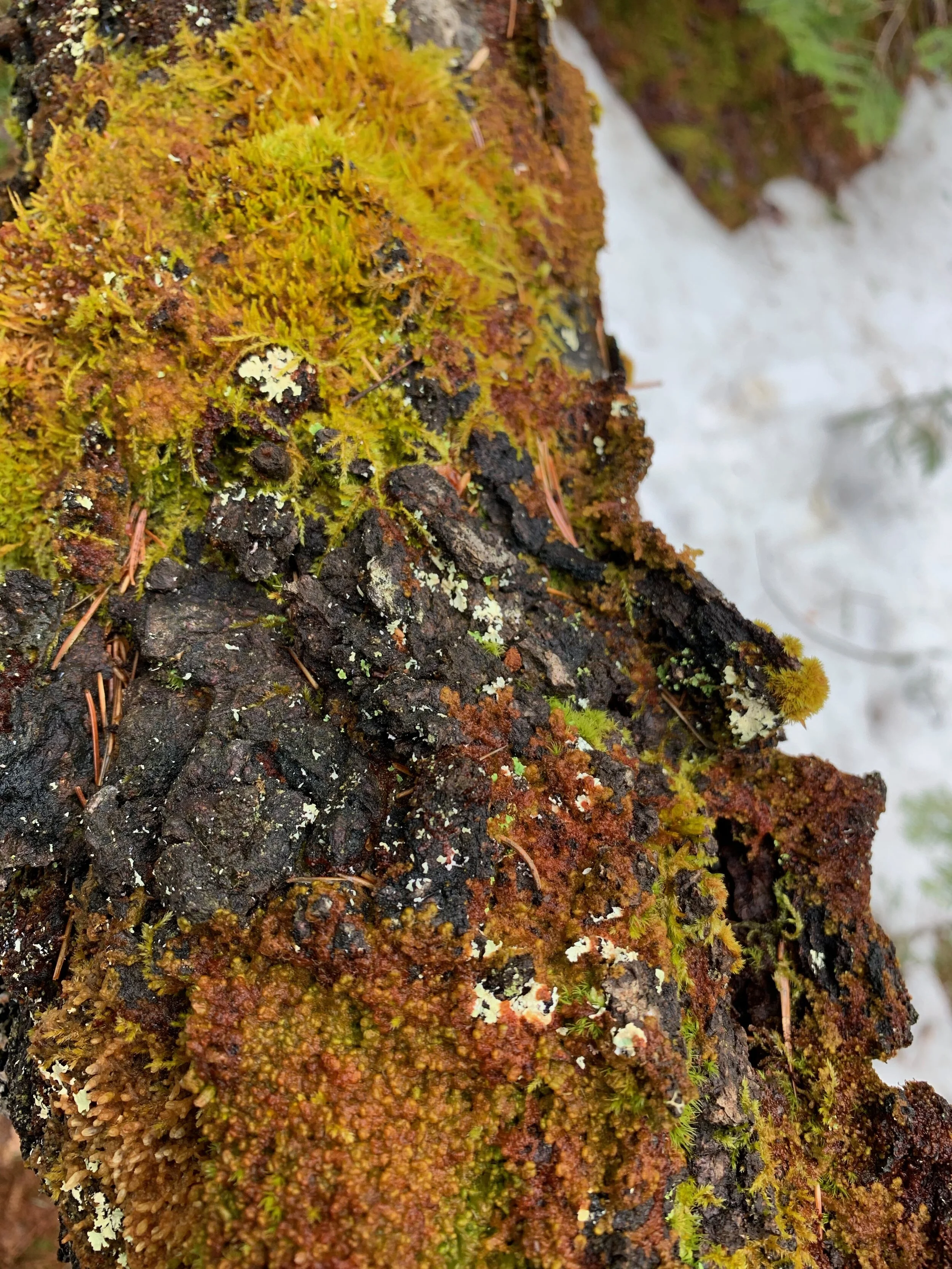 Quoting Sherri Mitchell and Albert Einstein