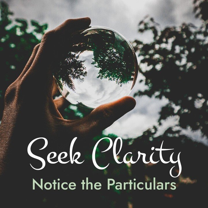 #clarity #seeknature #healthinnature beanofthefields.com