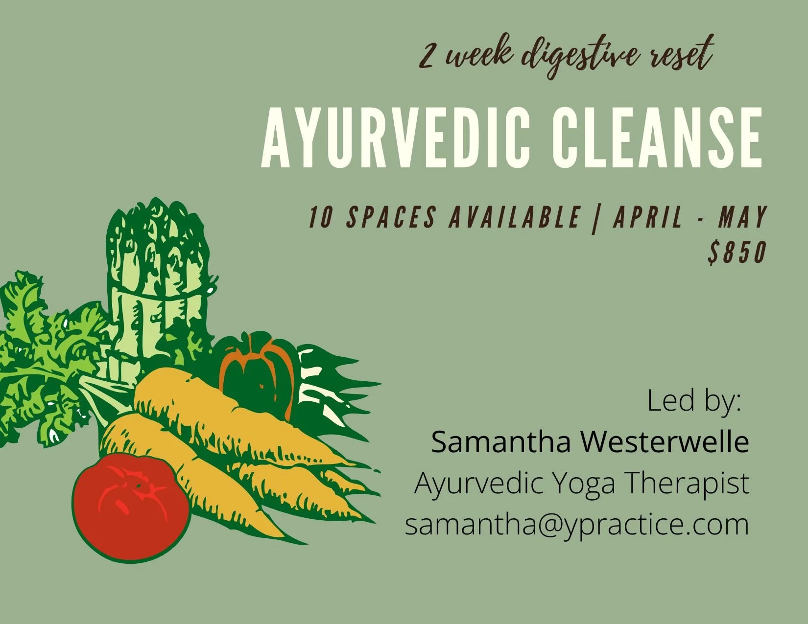 Yellow Coffee Shop Illustration Direct Mail Postcard-2.jpg