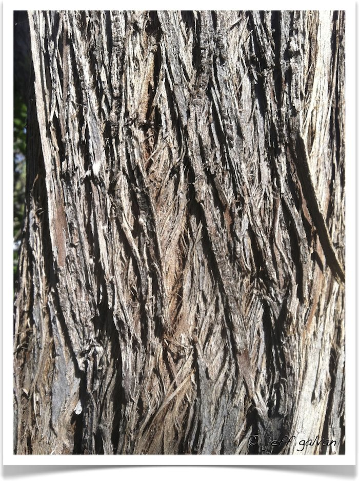 image13.png