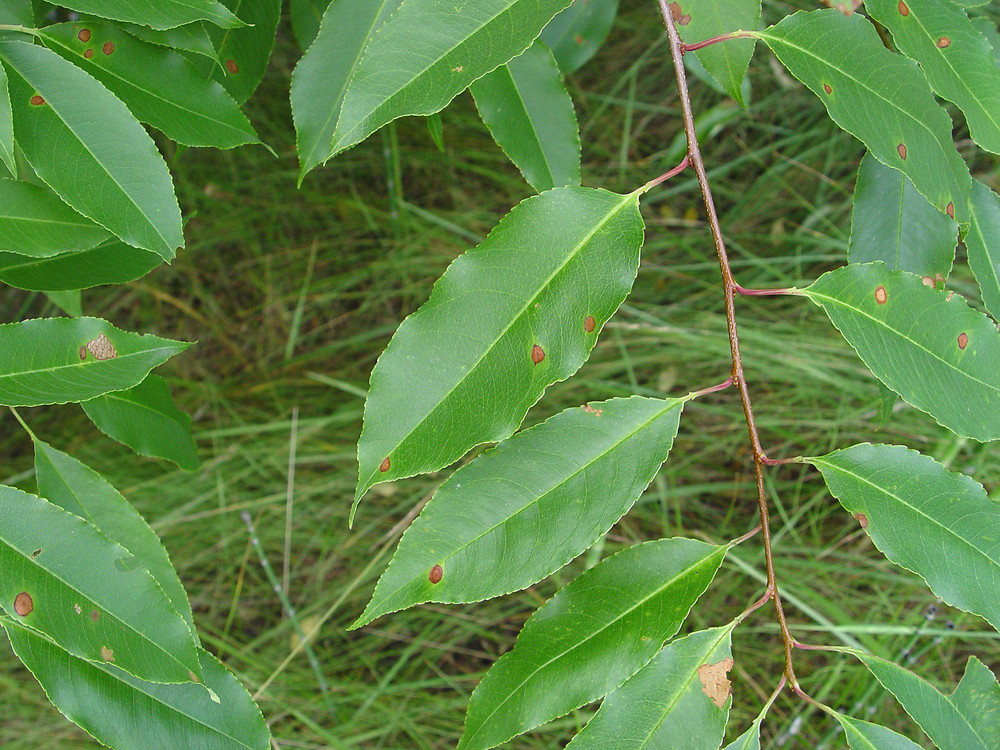 image59.png