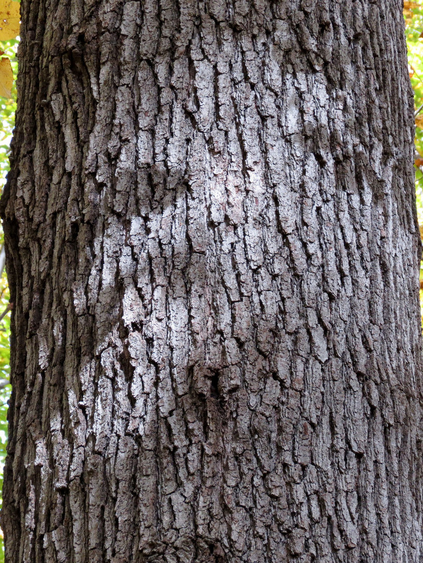 image14.png