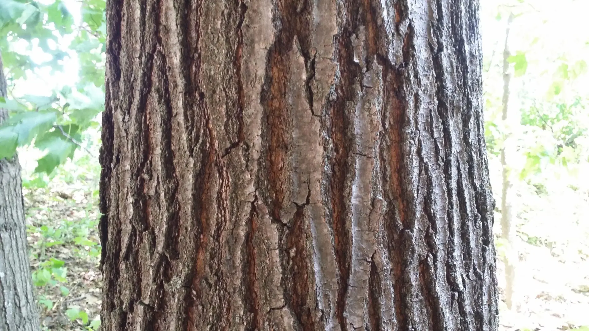 image21.png