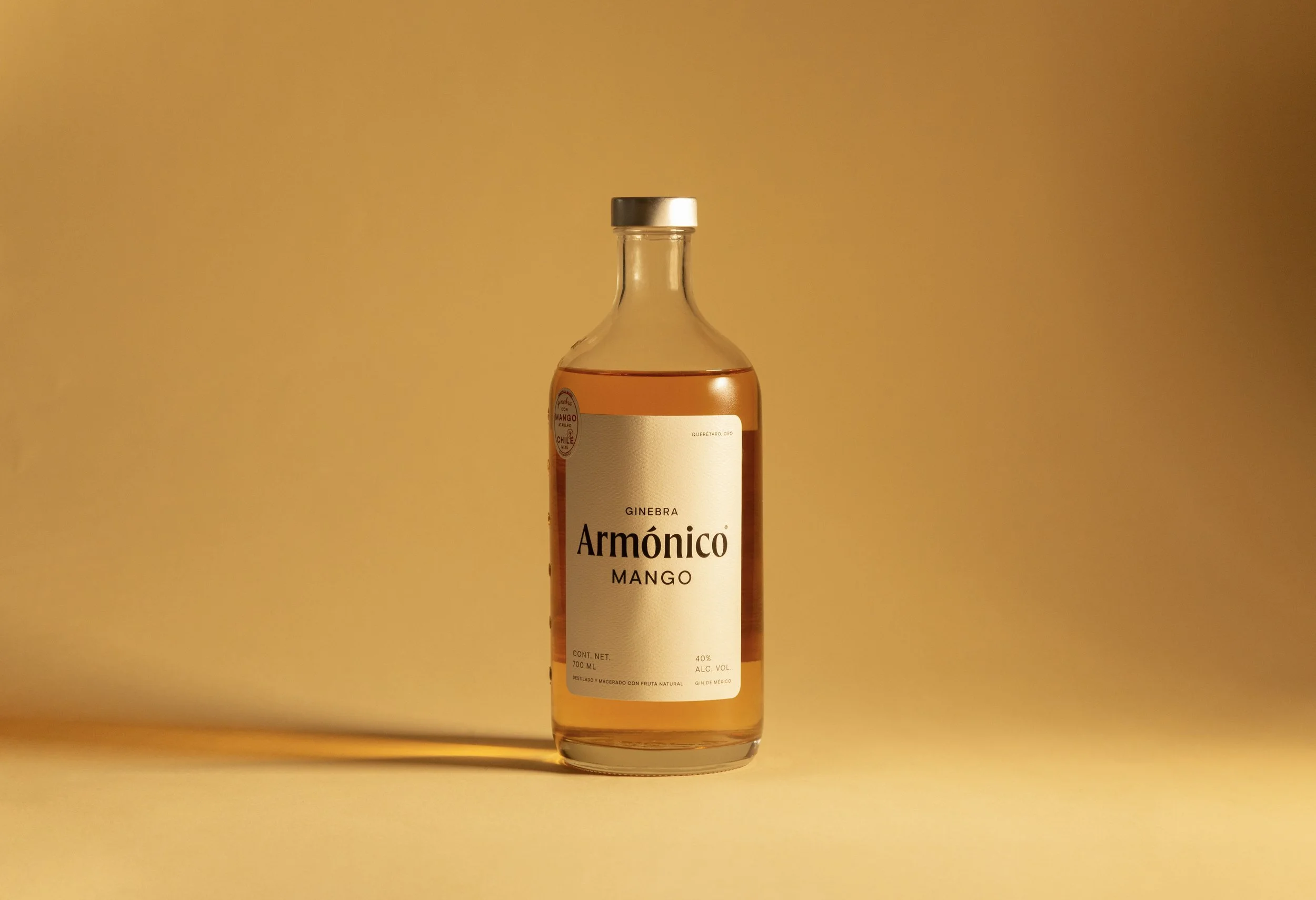 IMG_0011_ALUM GÁLVEZ copia.jpg