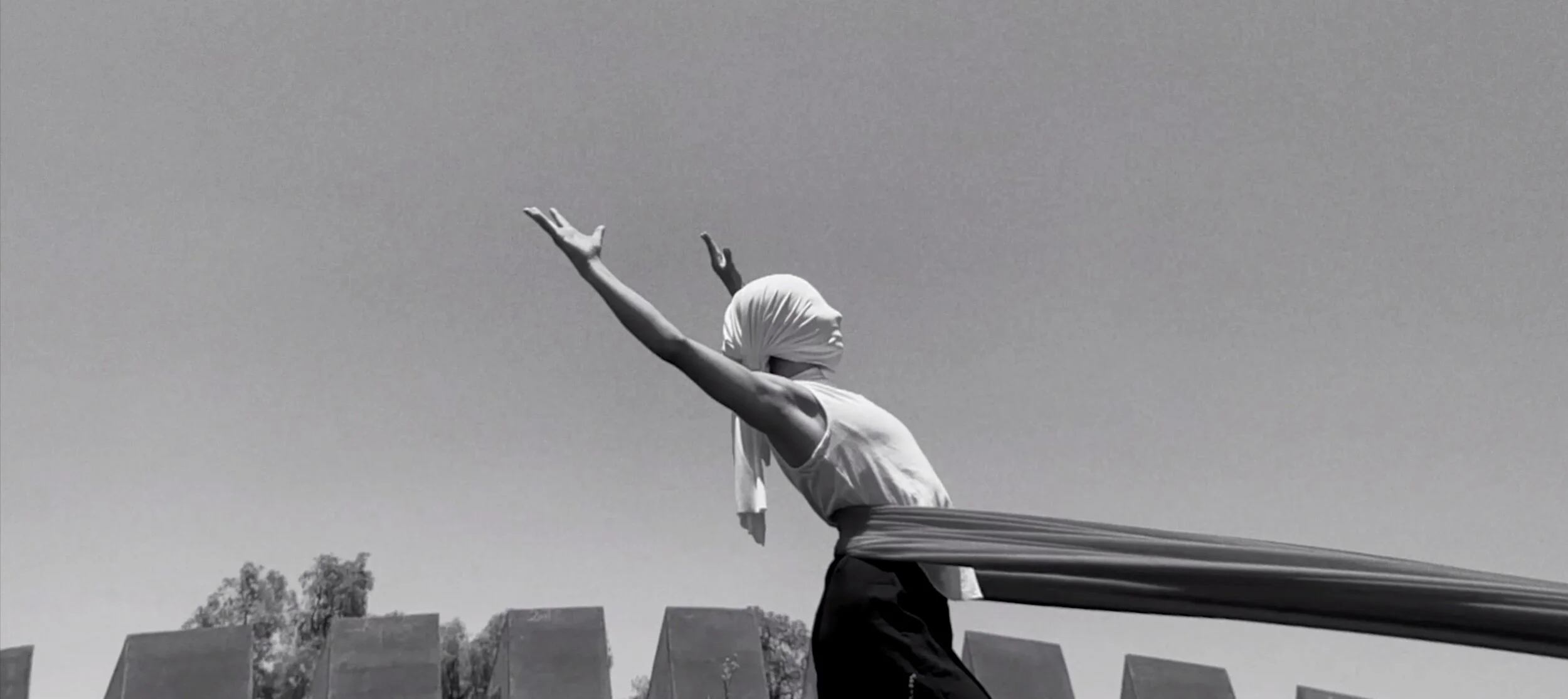 Screen Shot 2020-02-26 at 12.31.28 PM.JPG