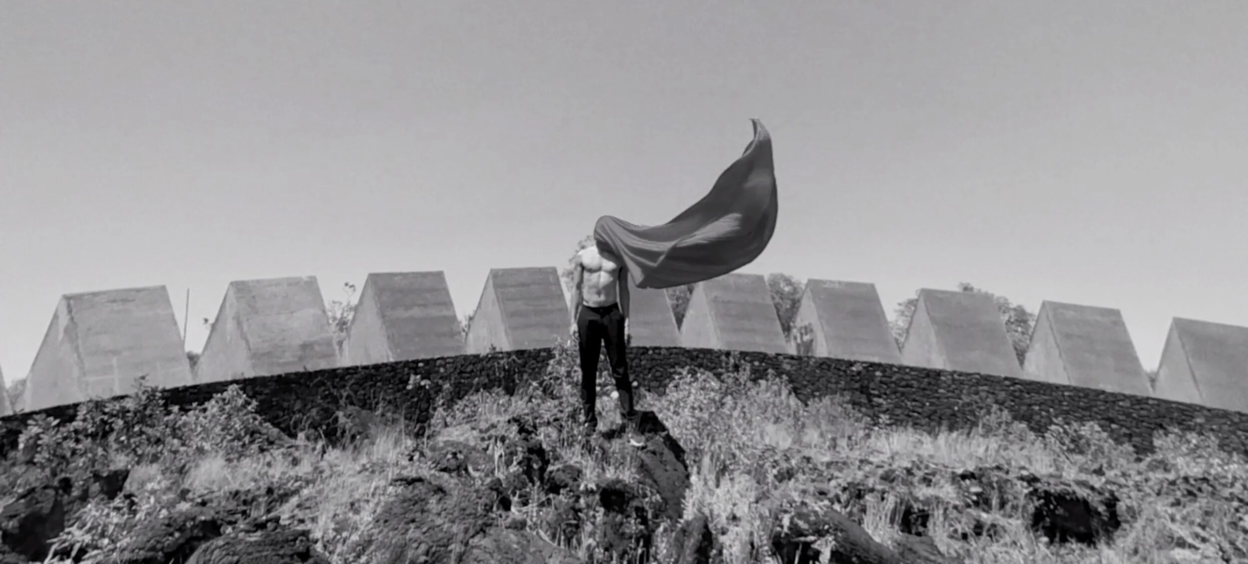 Screen Shot 2020-02-26 at 12.32.05 PM.JPG