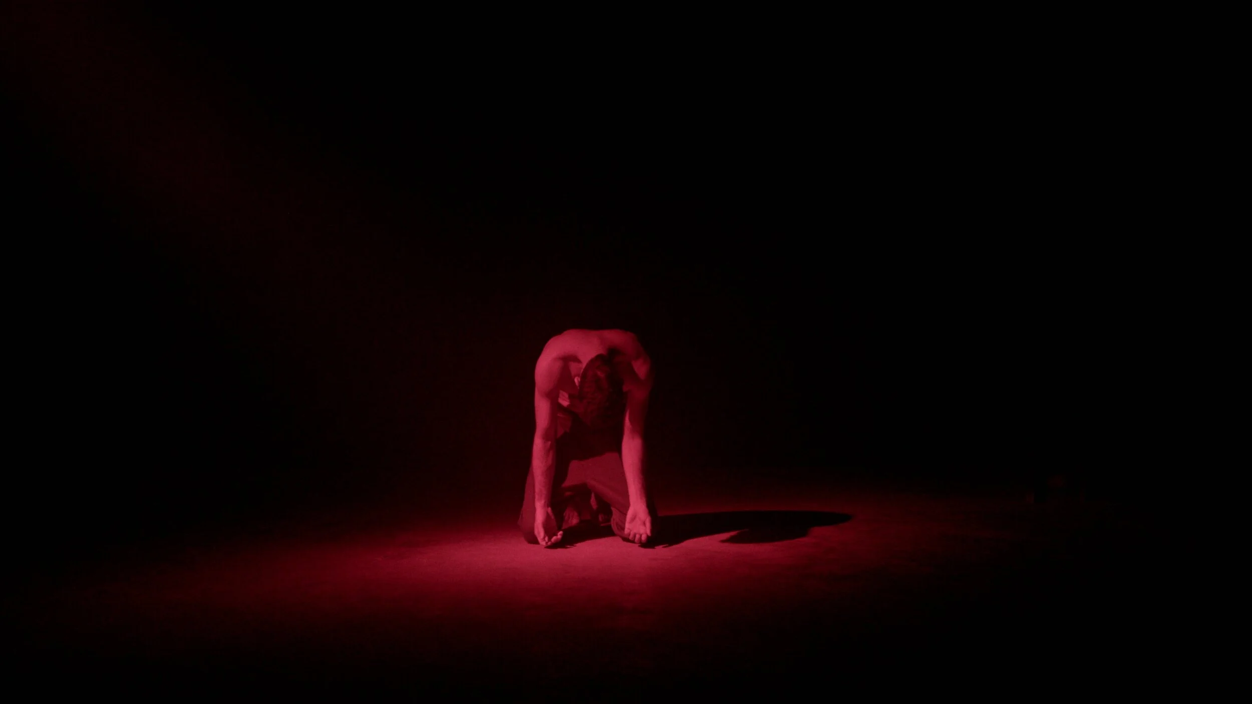  “Ahora que al regresar todos nos darán por muertos  Ya qué sentido tiene volver a casa”    Giorgio Siladi 