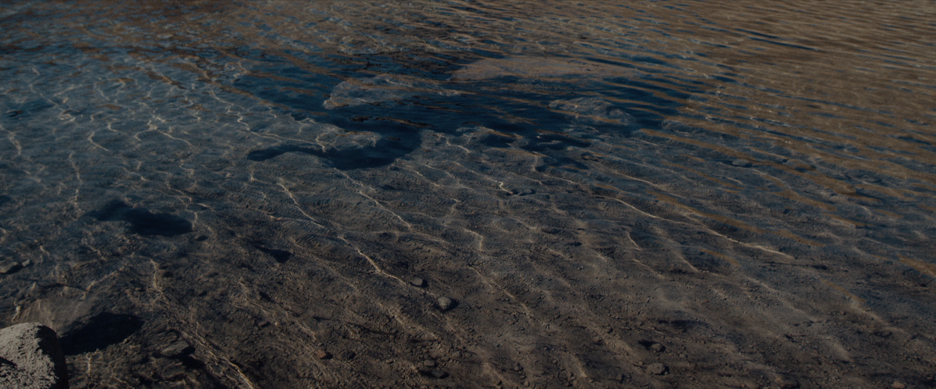 Screen Shot 2019-04-01 at 2.31.04 PM.PNG