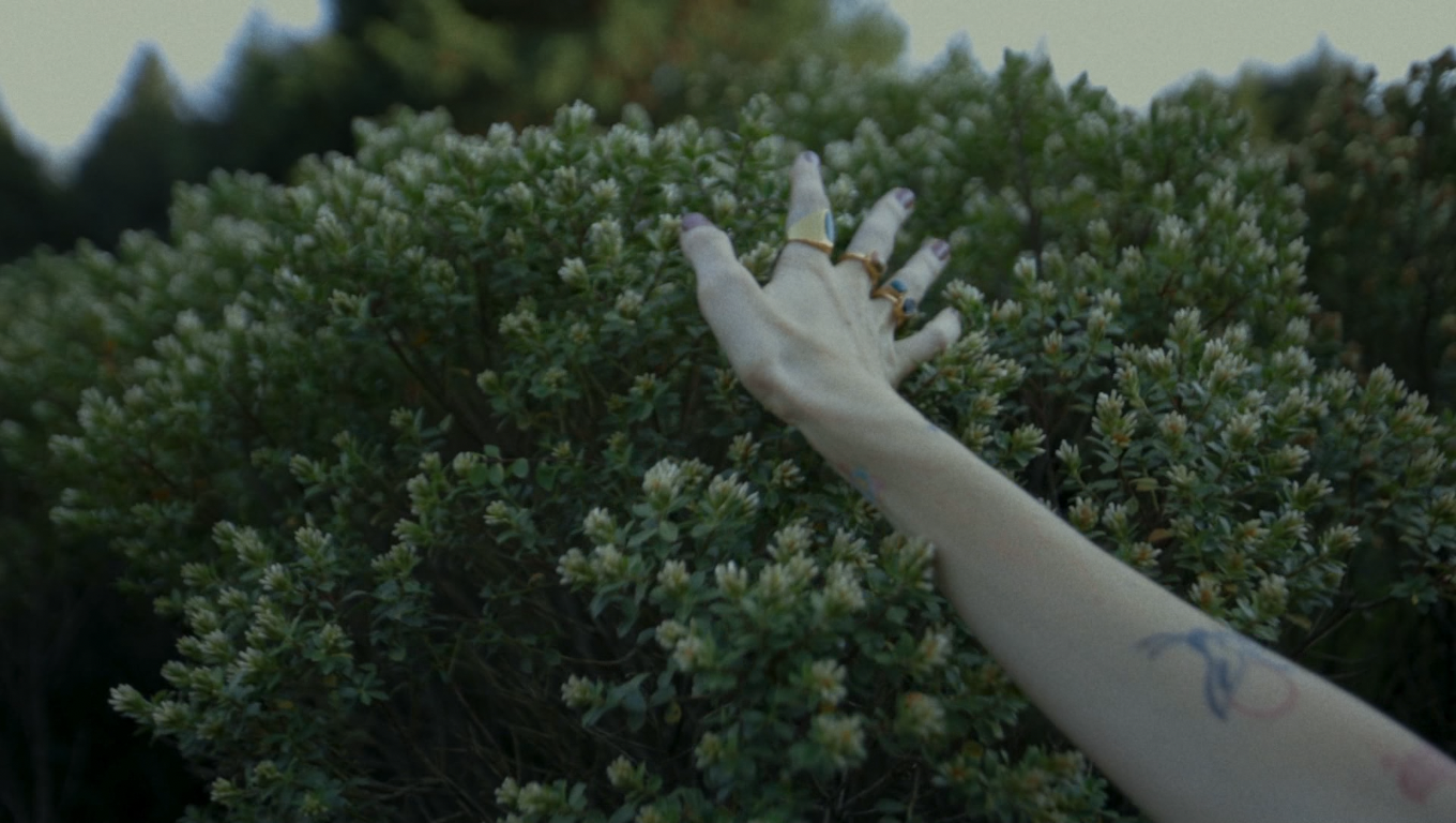 Screen Shot 2021-04-12 at 9.33.19 PM.PNG