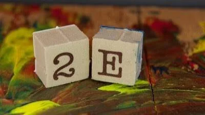 What Is Twice-Exceptional—and Why Does It Matter?