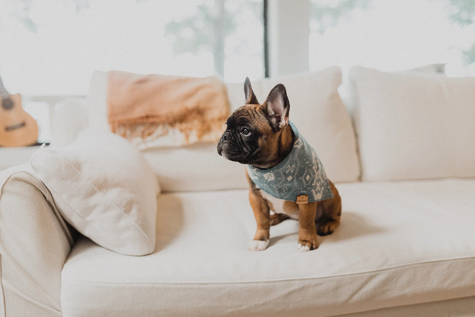 lifestyle photoshoot gens interiors