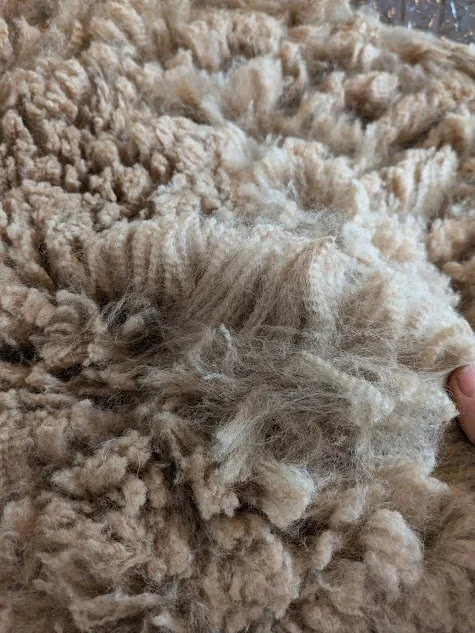 Snitch blanket 1.jpg