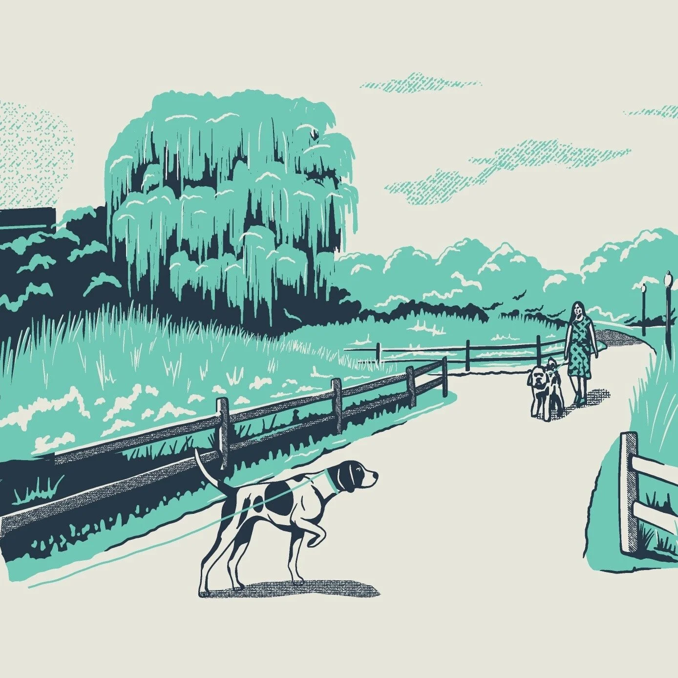 Boulevard Veterinary shortlisted for CA Illustration Annual