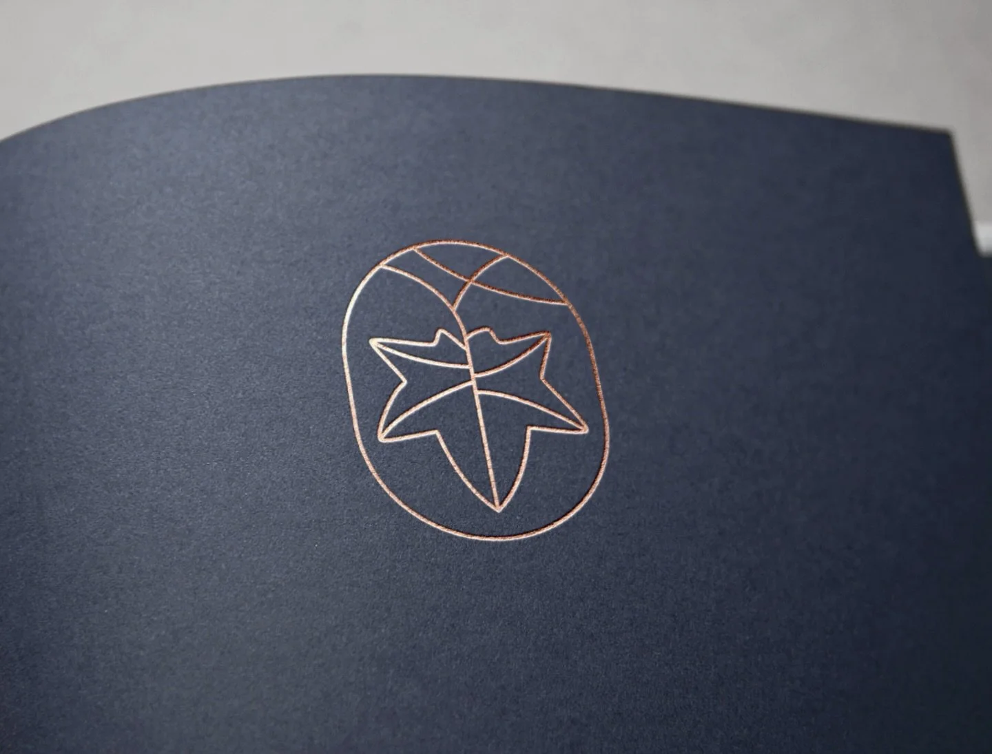 Cutting Room Floor Friday - featuring this old mark, for a nature photographer. 🍁 Thoughts? 
.
#logodesign #naturelogo #leaflogo #chicagodesign #branding