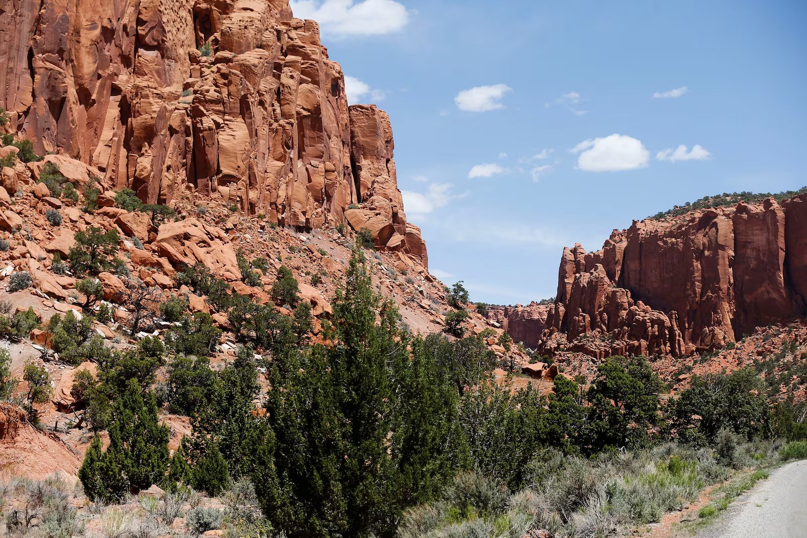 Studio Malt stands with Bears Ears and Grand Staircase-Escalante