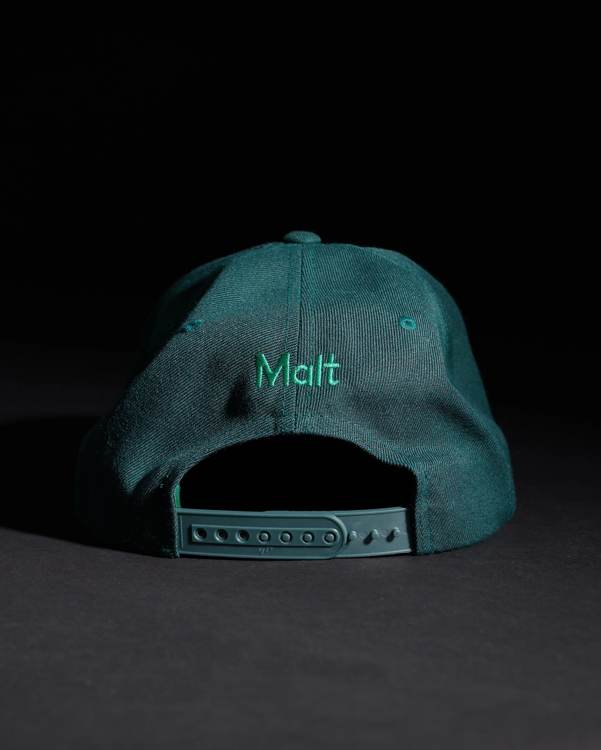 StudioMalt_Shop_Snapback-Back-Spruce.jpg
