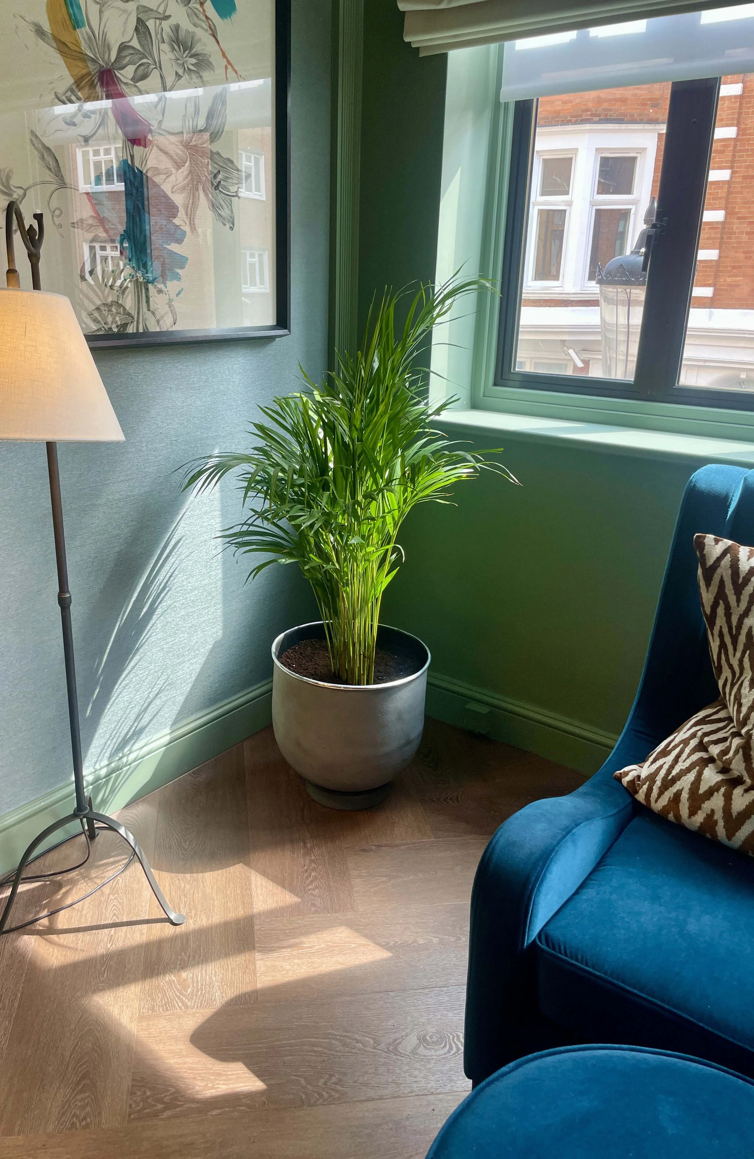 luxury-residential-plants-knightsbridge.jpg