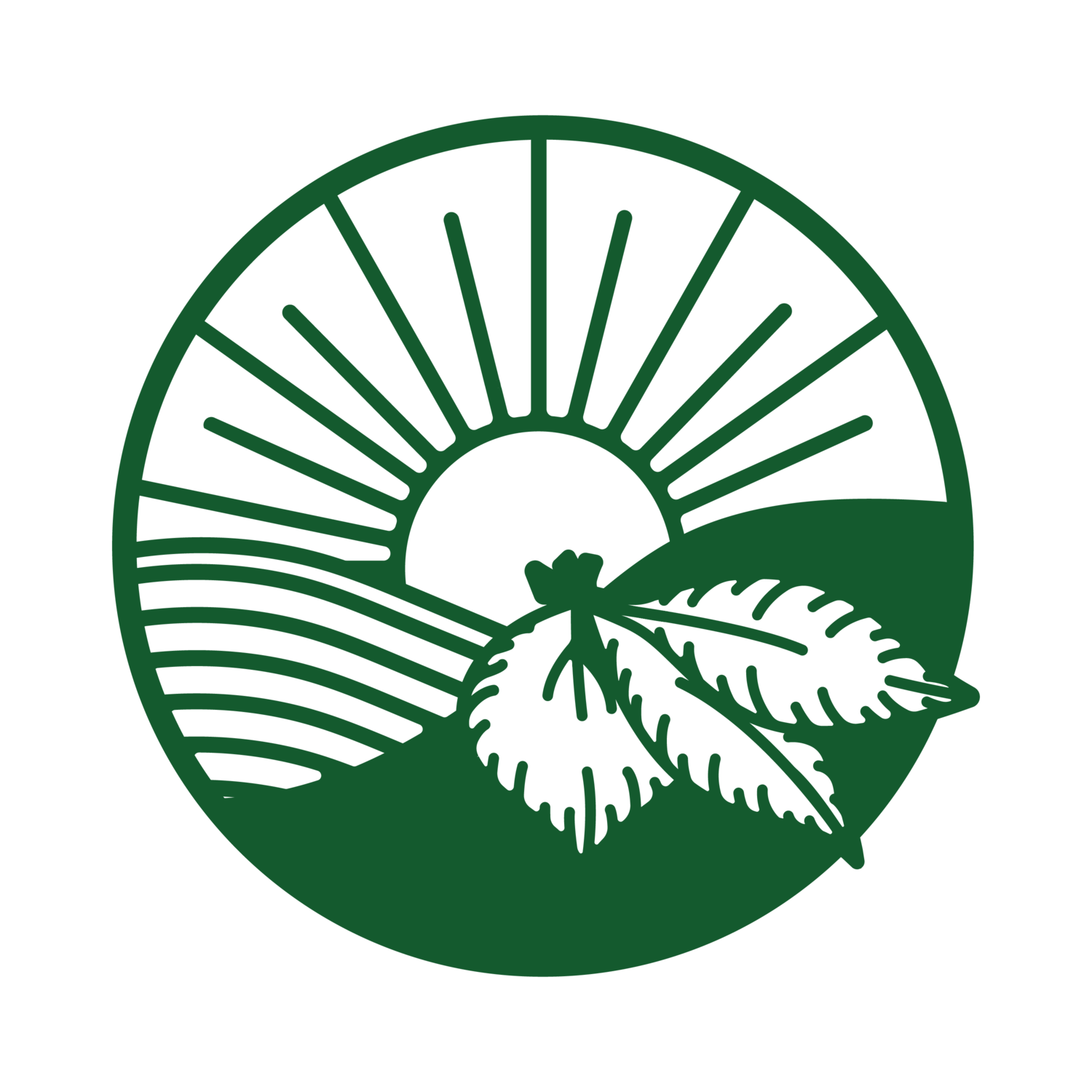 Brokaw Ranch Company Shop fruit and avocado boxes online, responsibly