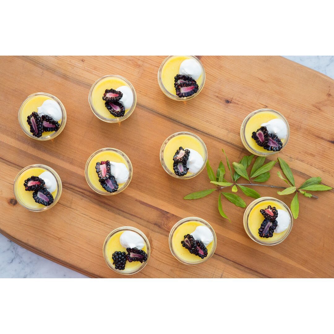 Meyer lemon cheesecake with lemon curd + cr&egrave;me fraiche + blackberries 🍋
.
.
.
#bryanjonescatering #privatechef #dessert #catering #cateringservice #chef #sonoma #sonomavalley #sonomacounty #food #foodandwine #lemon #cheesecake