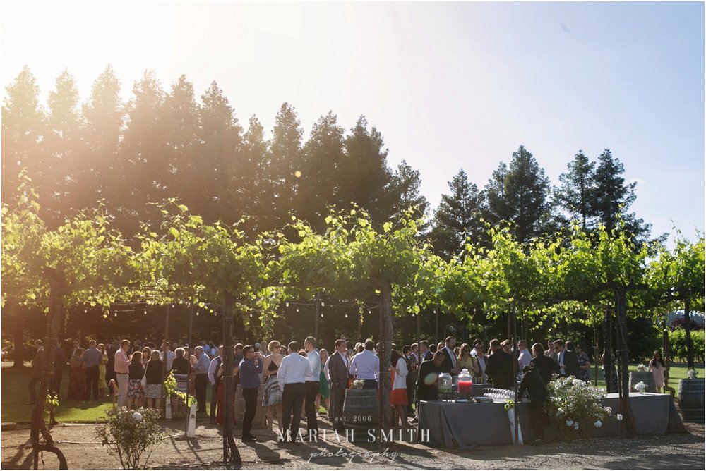 Sonoma Vineyard Wedding Photographer205.jpg