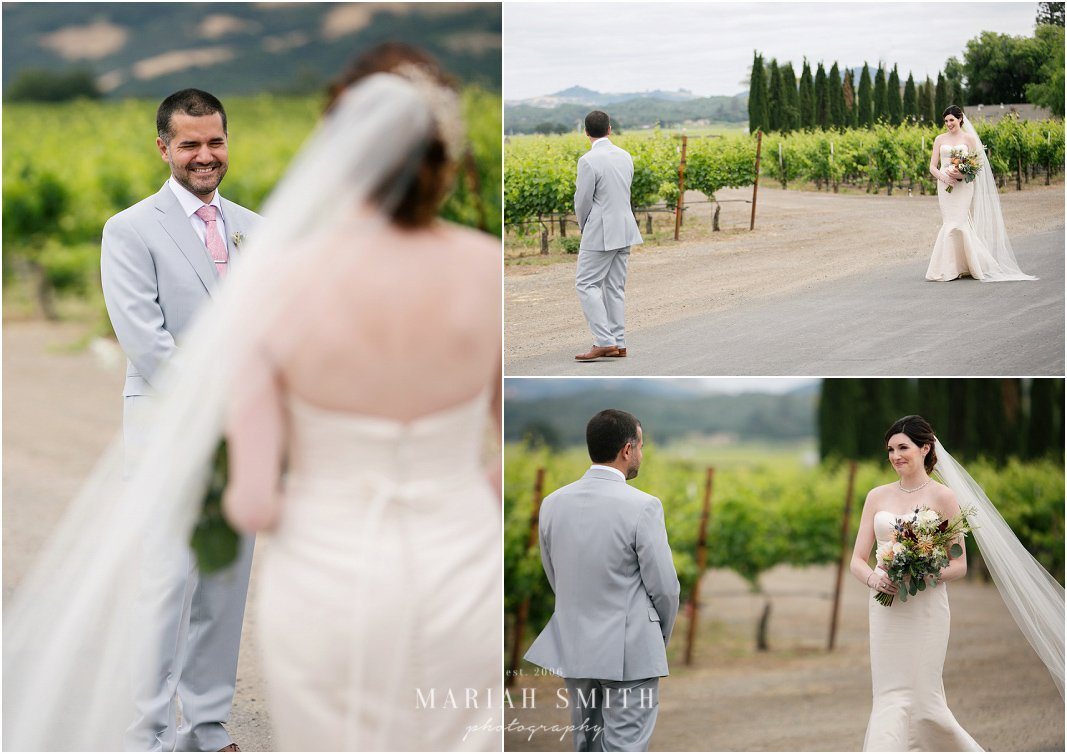 Sonoma Vineyard Wedding Photographer186.jpg