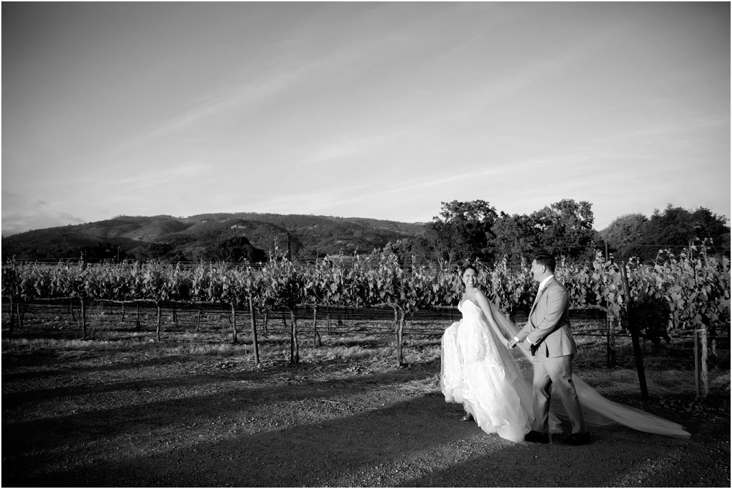 Sonoma-Winery-Wedding-Photographer-A884.jpg
