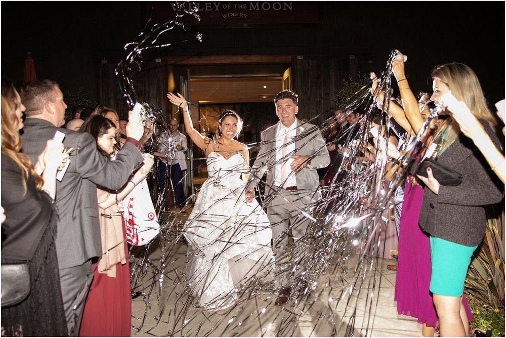 Sonoma-Winery-Wedding-Photographer-A890.jpg