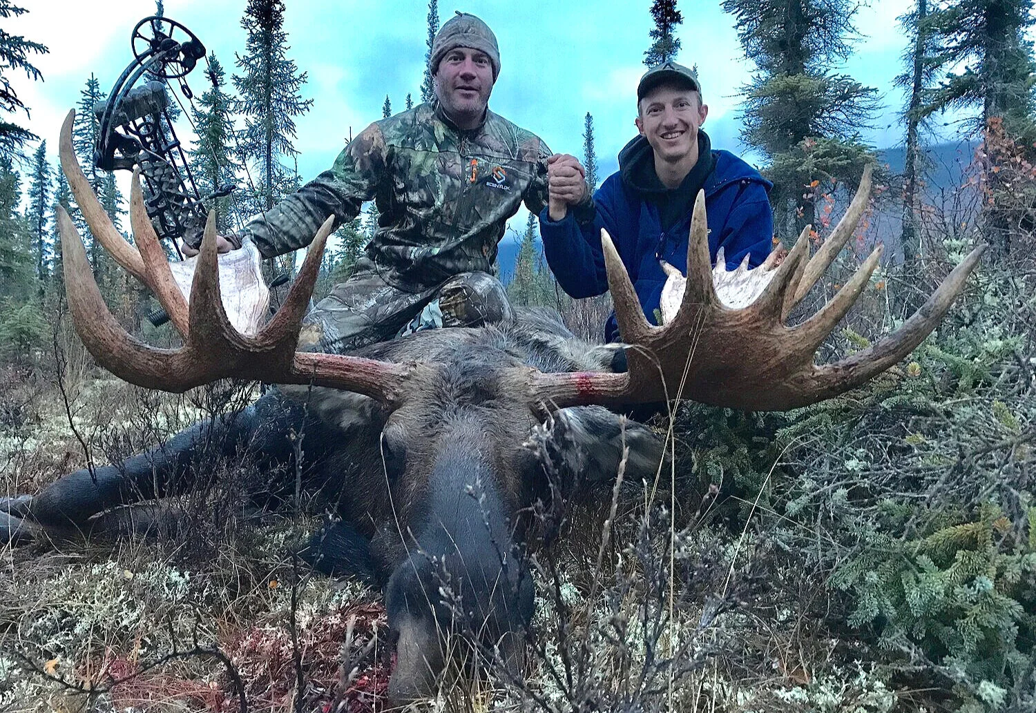 Guided Moose Bowhunting Trips Outfitted Moose Bowhunts