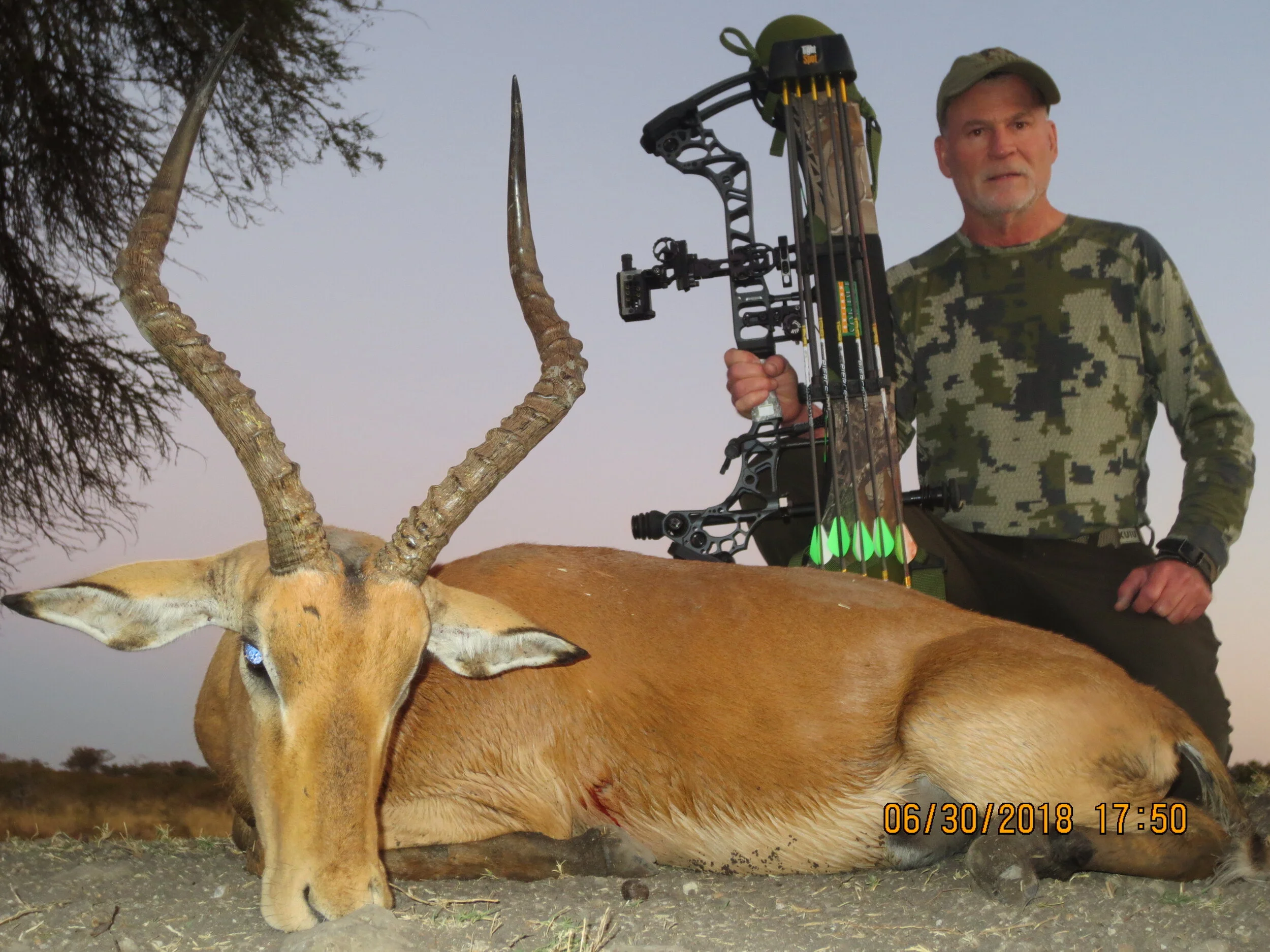 Guided Zimbabwe Bowhunting Safaris Bowhunting Zimbabwe