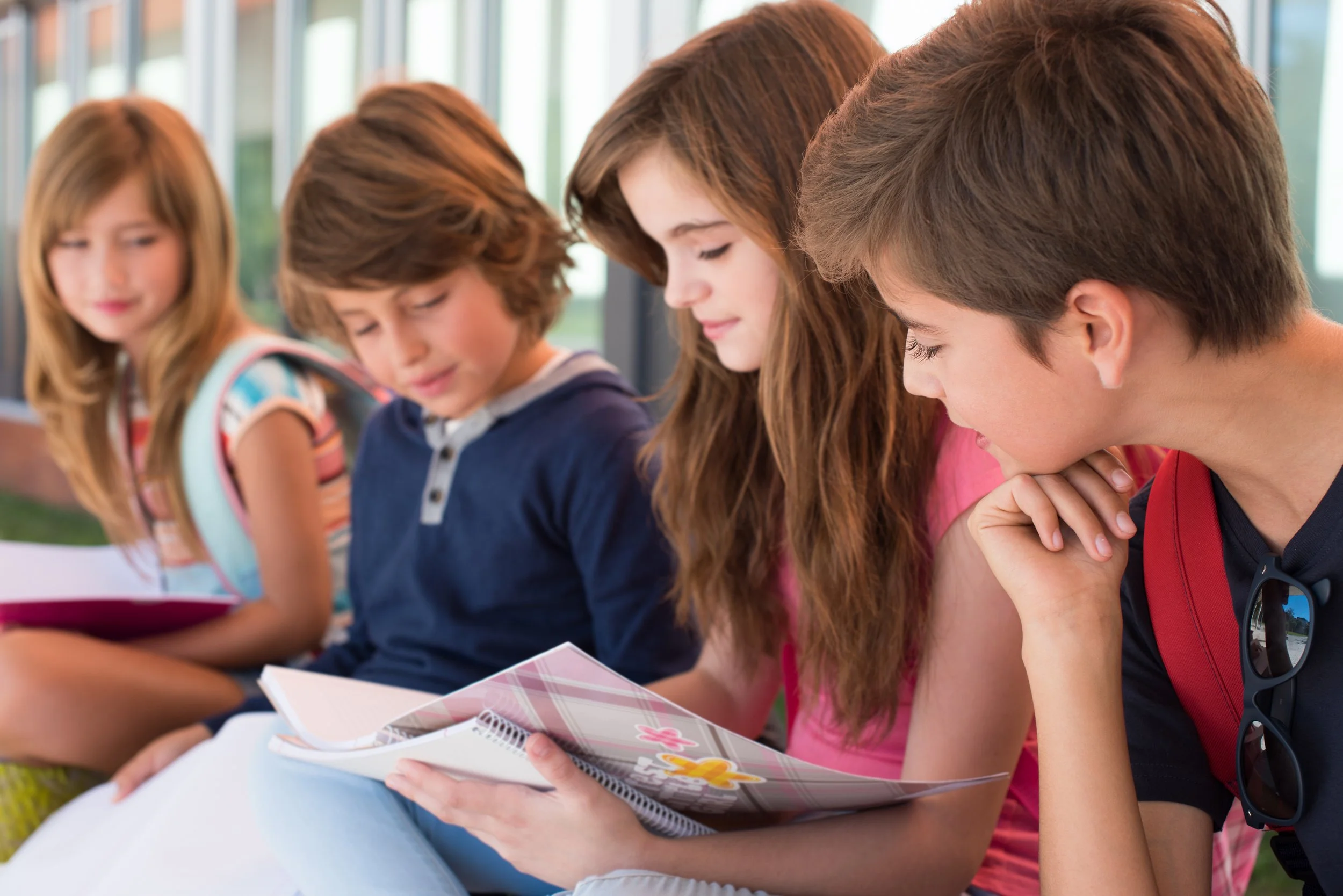 DBT Group for Middle Schoolers