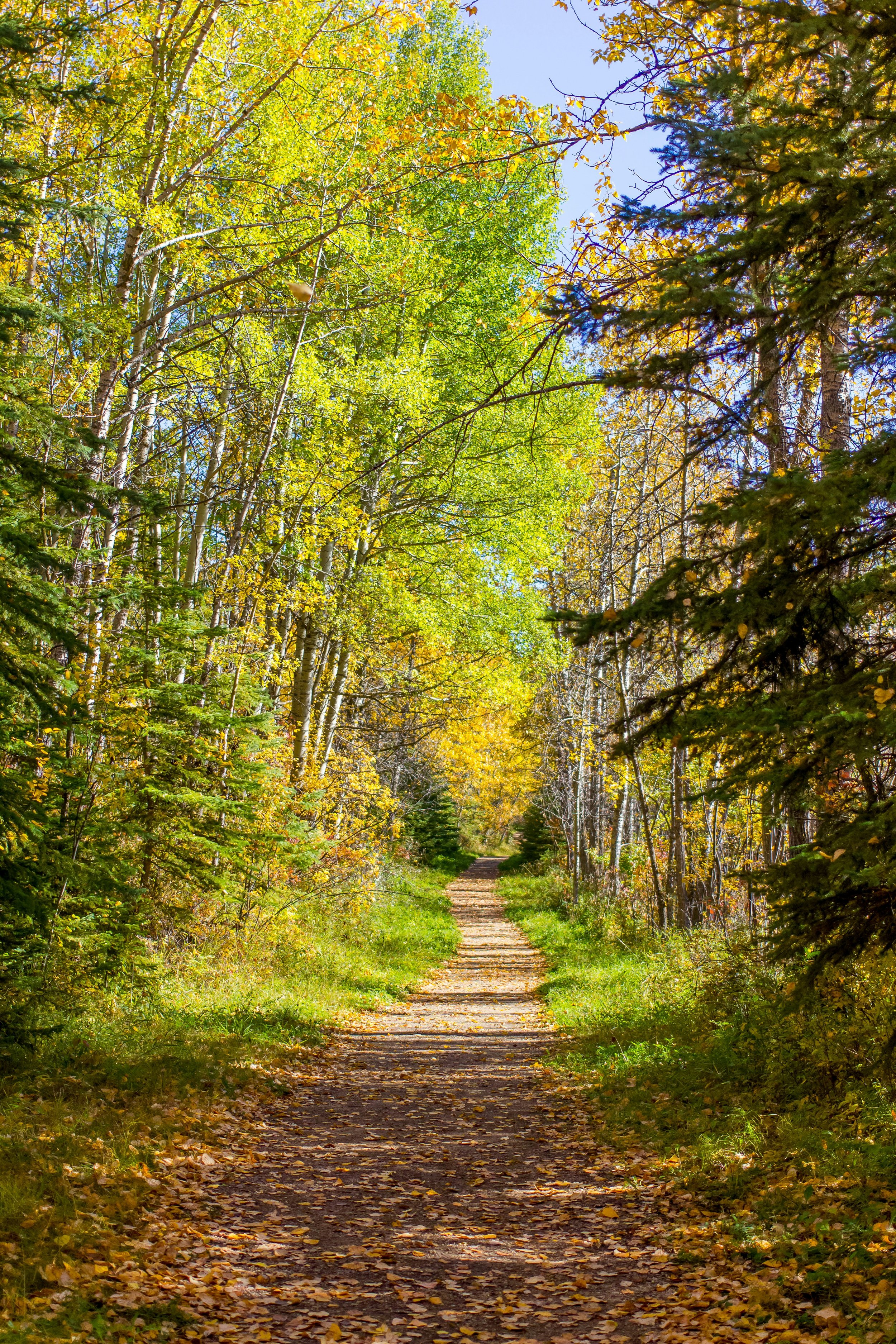 Sobriety Support Group