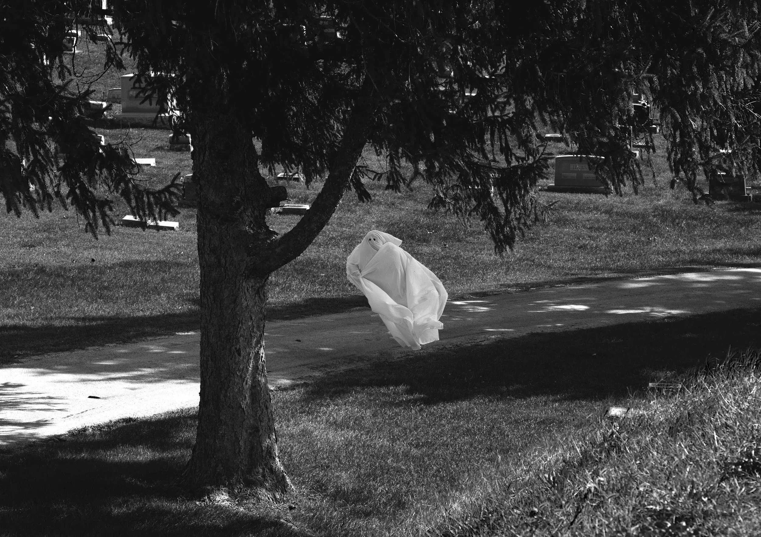 Austin_Sane_Ghost under tree smaller.jpg