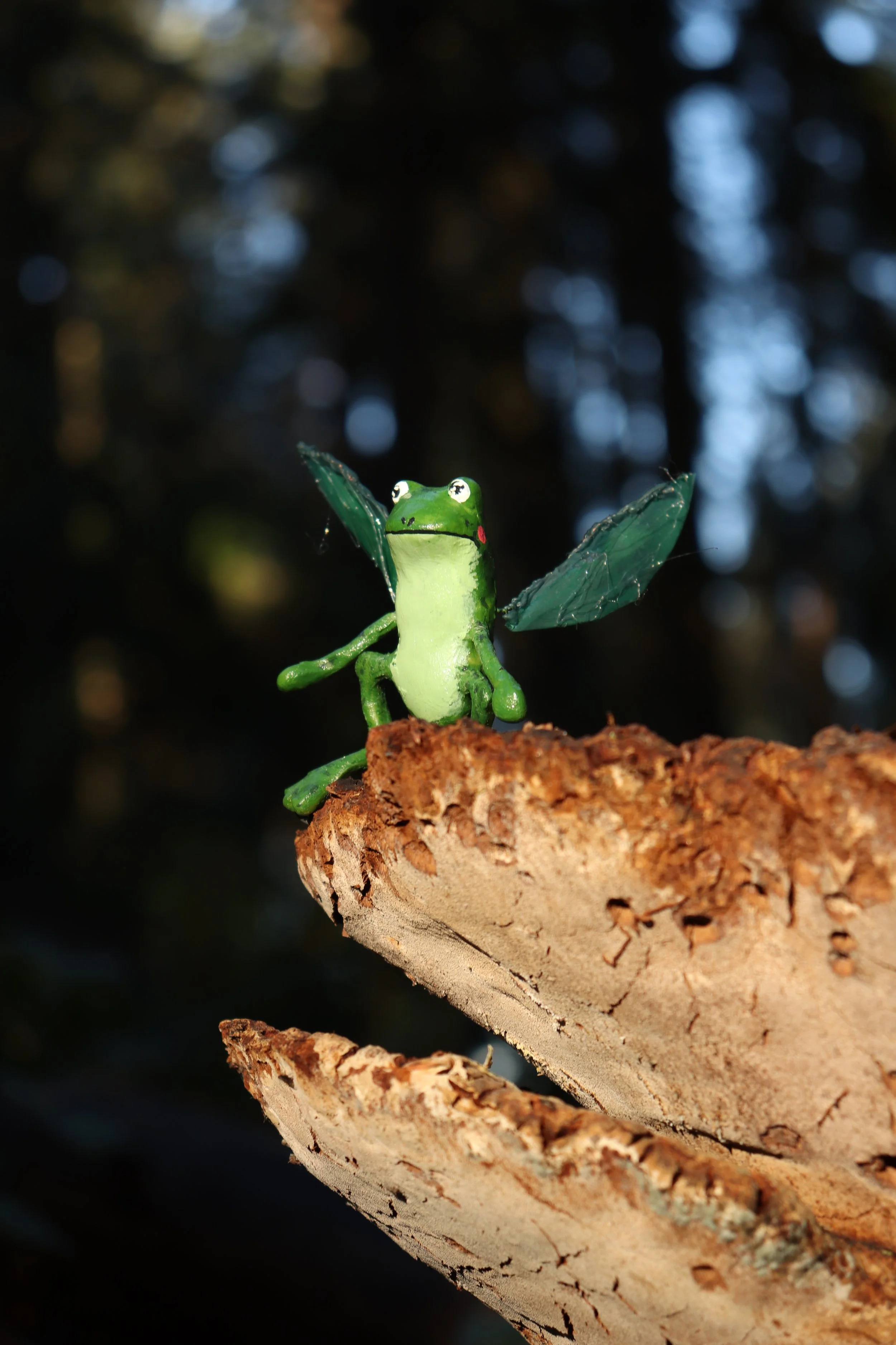 Photos of Portland-Area Fae Folk