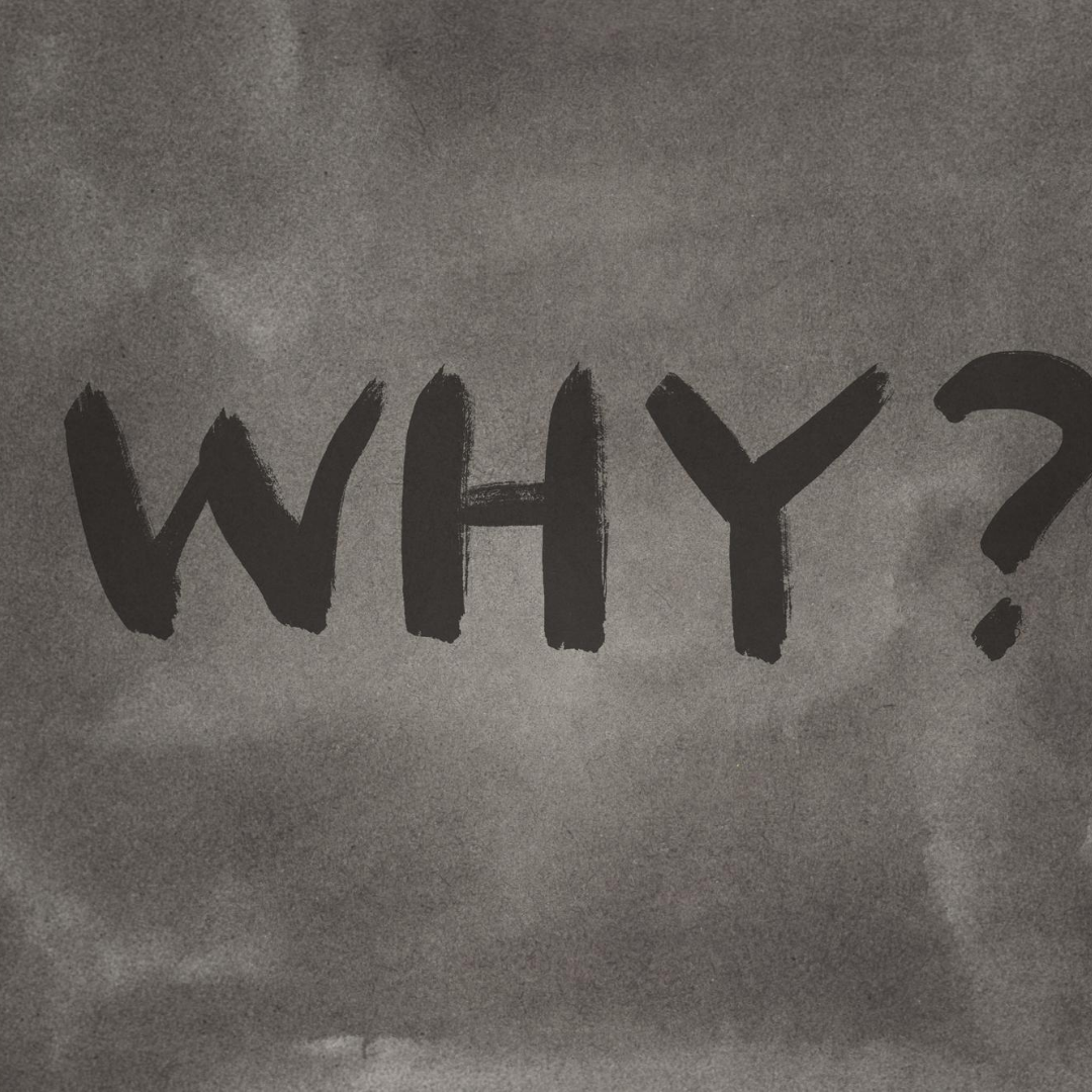 "Why?" Will Always be The Most Powerful Question to Ask in Your Business