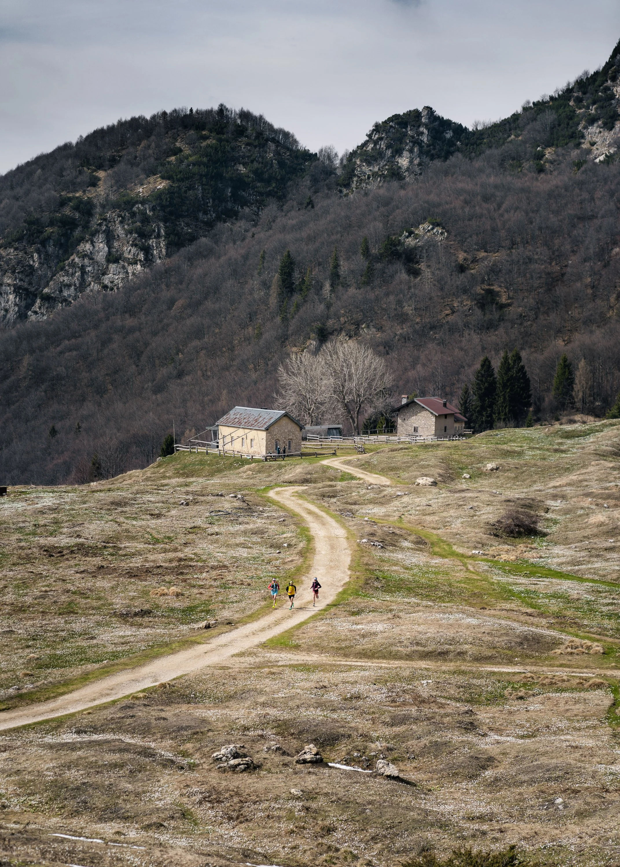 Matteo Agreiter Photography-04125.jpg