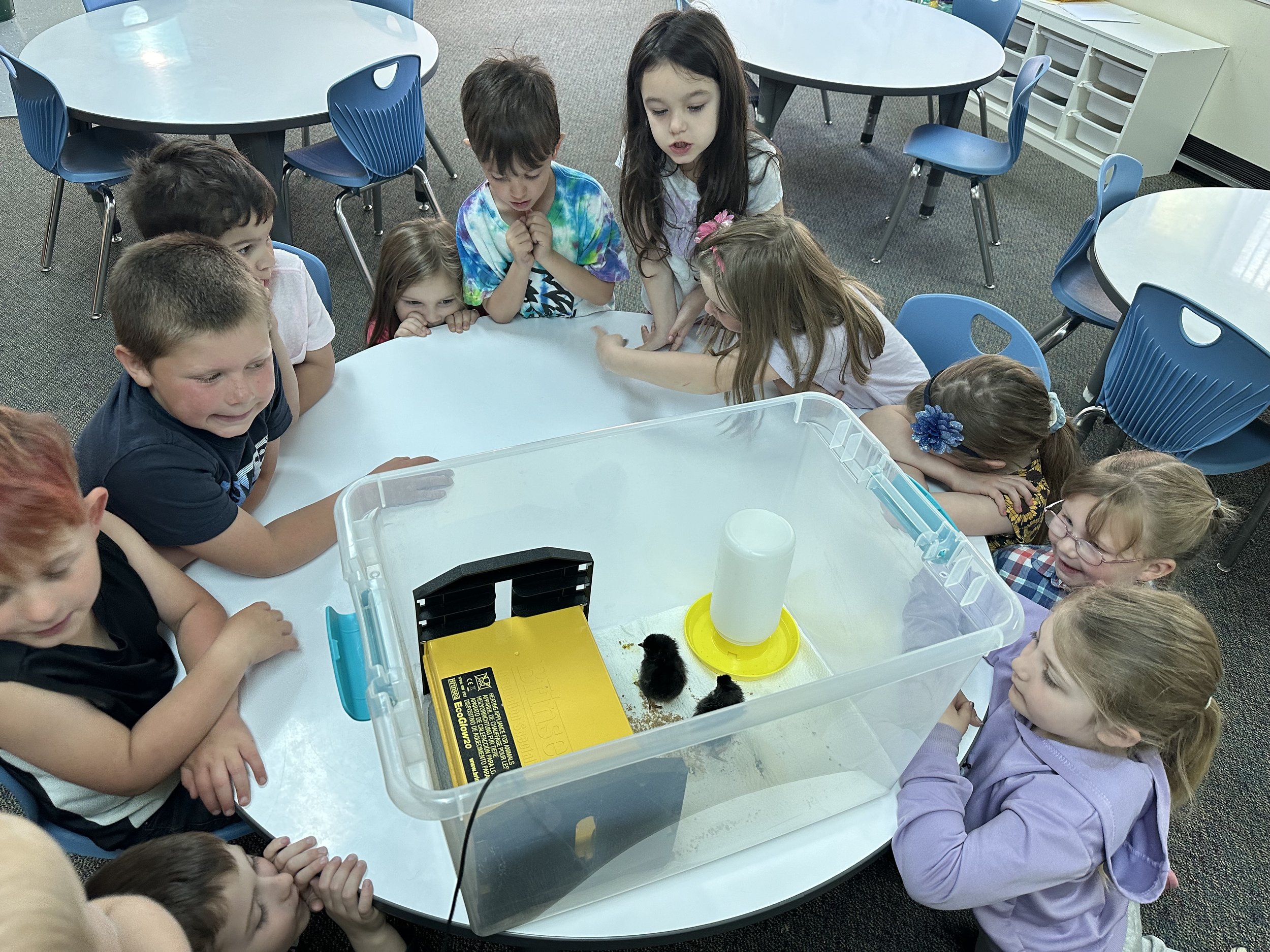 Harrington Elementary Children's House - 2025